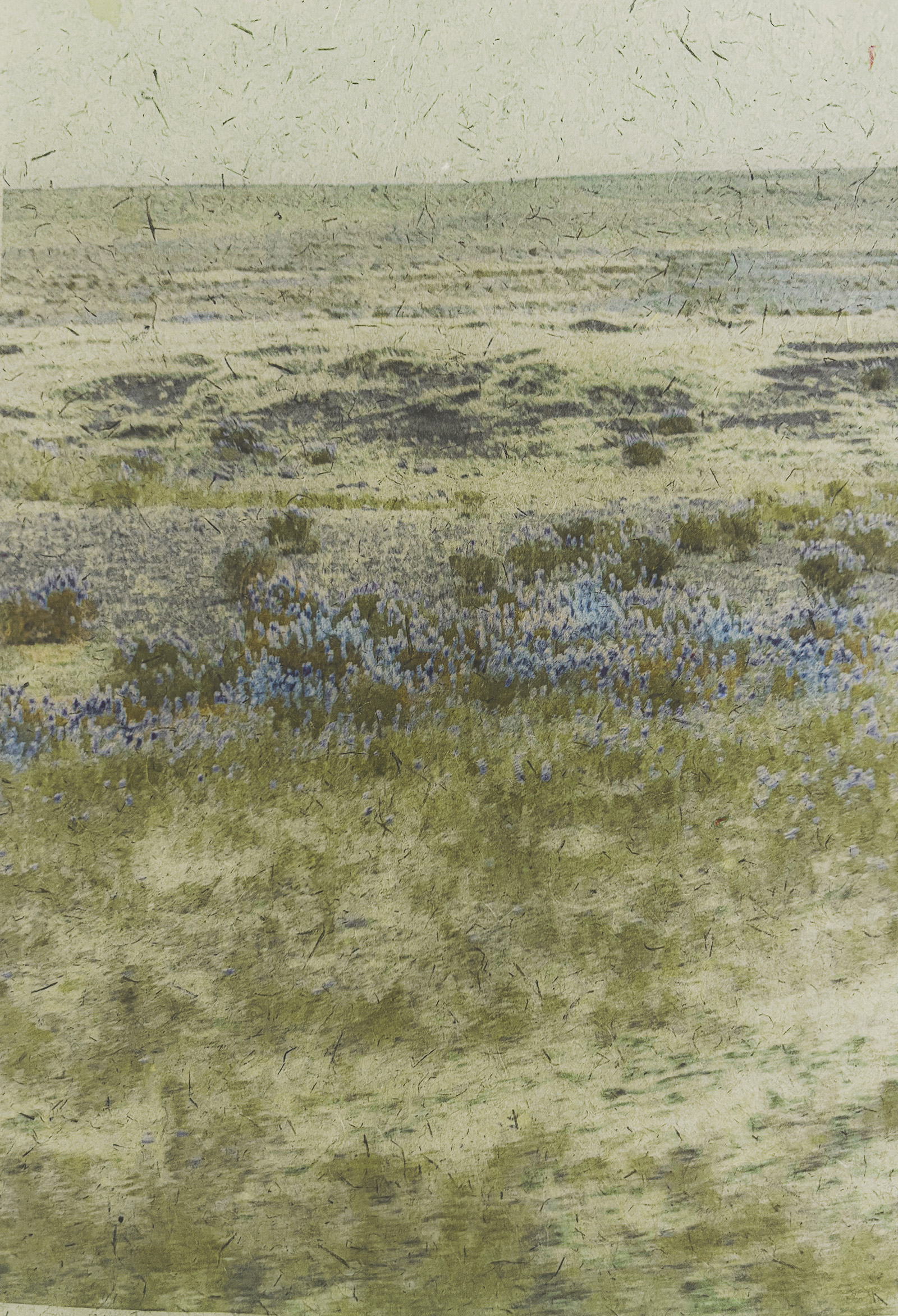 © Flore PREBAYJasmin