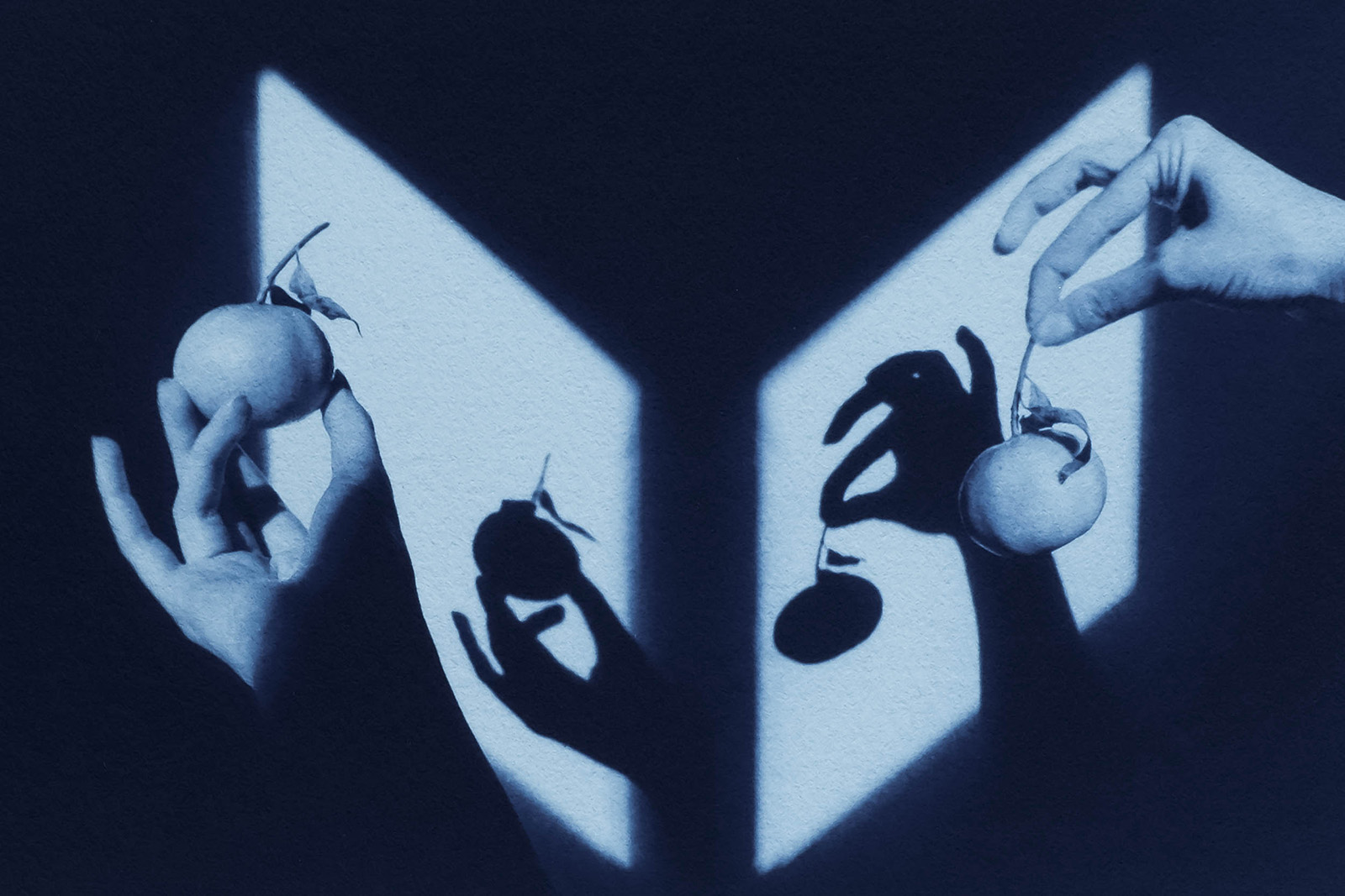 © Eleonore SIMON Le Bleu s'écrit sans bruit