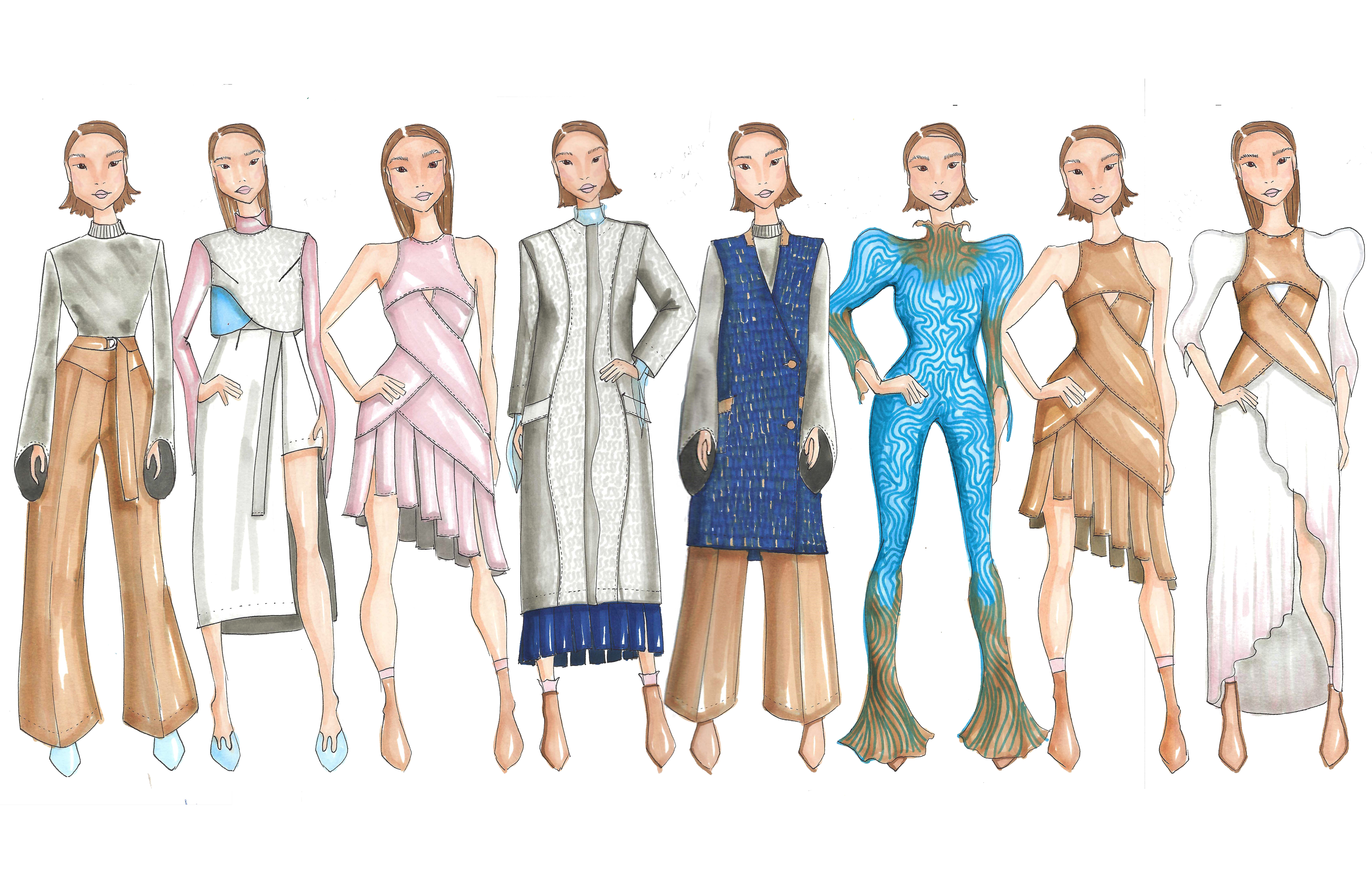 Aricula Judae - Senior Collection