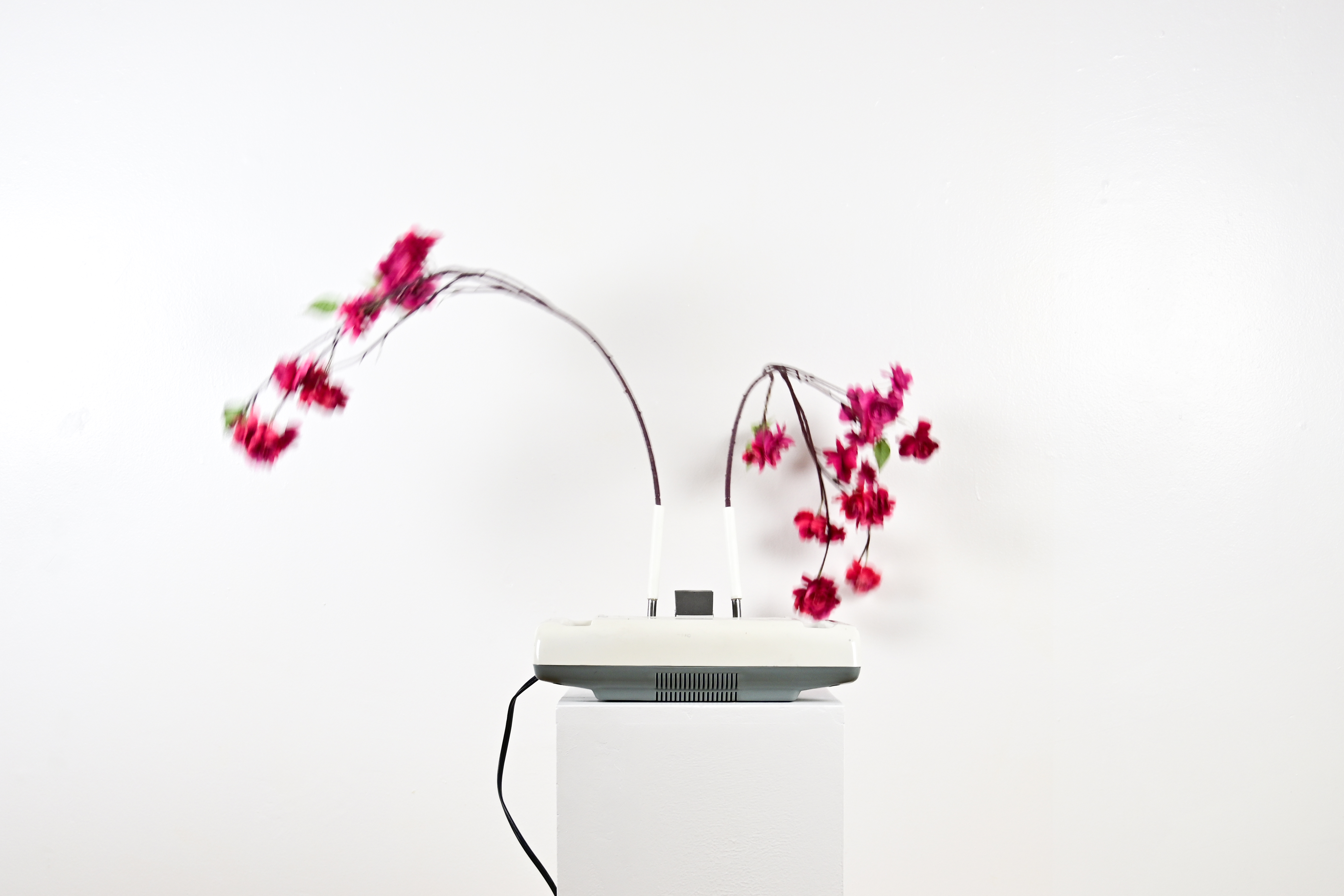 Rachel Youn, Untitled, from Gather/Underparty 01, 2020/2021, massager, artificial plants, approx.: 55 x 50 x 20 in. (139.7 x 127 x 50.8 cm.)