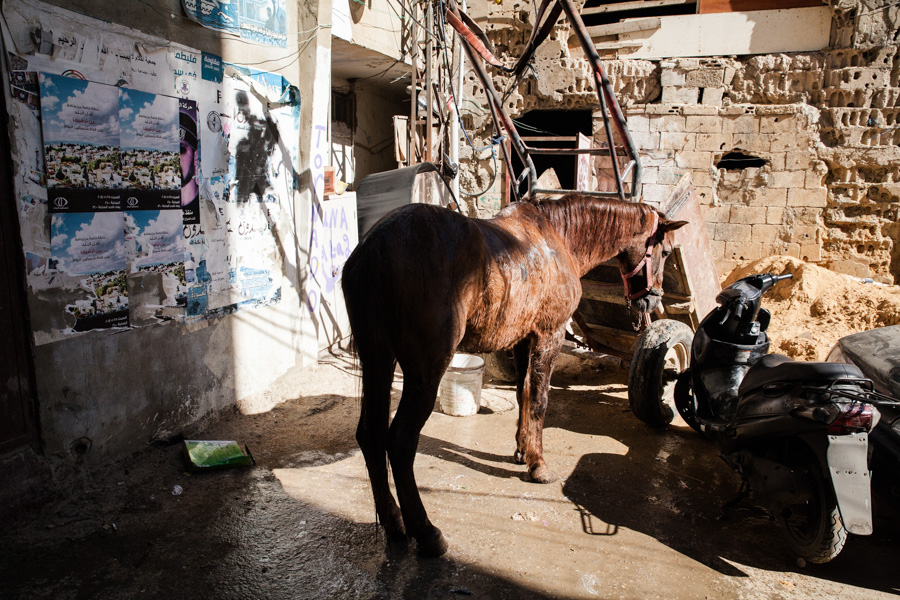  shatila camp, beirut, lebanon