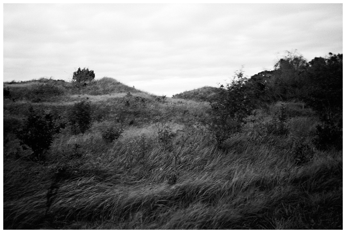 'GRASS, MOVING'