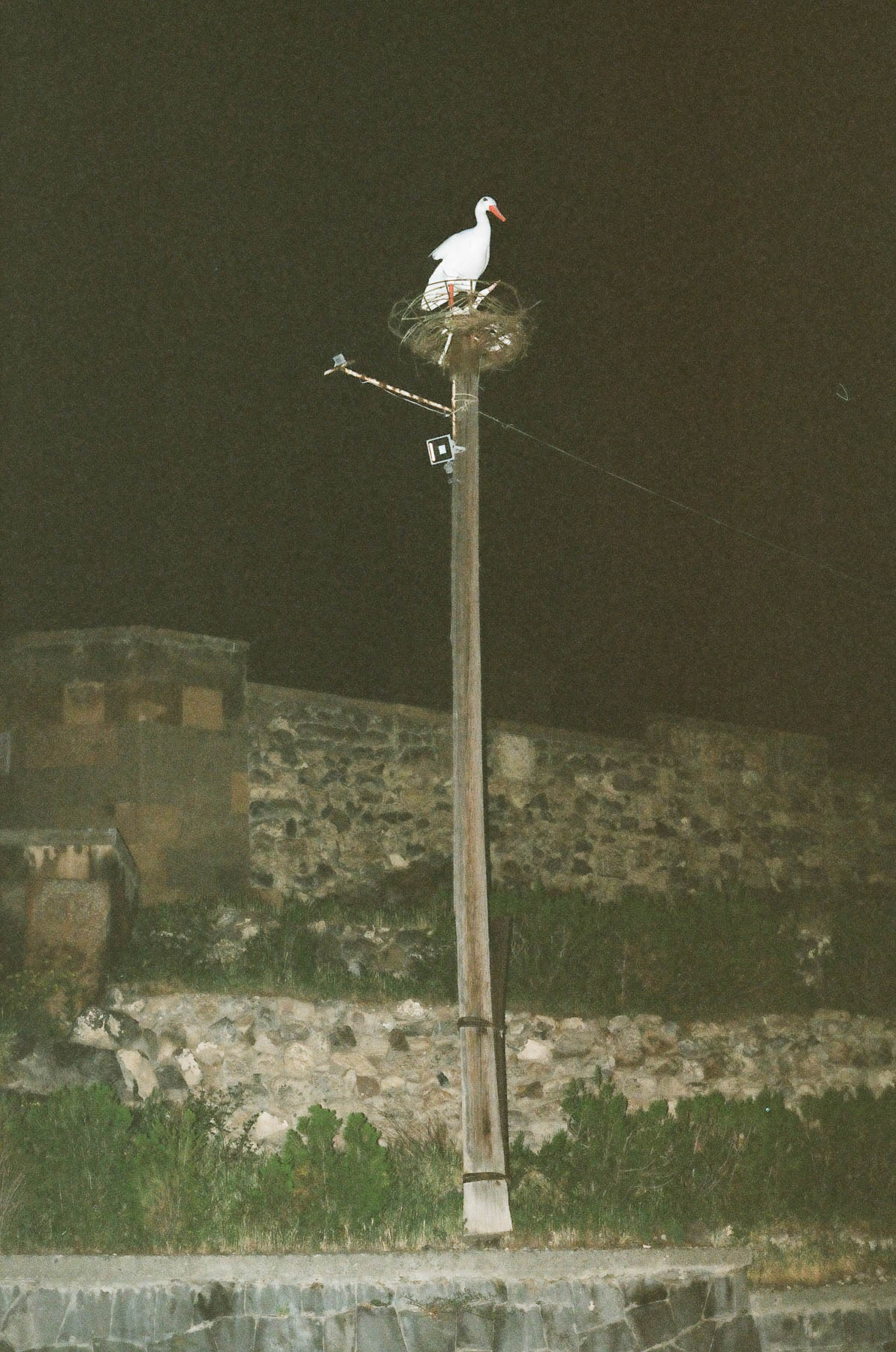 ‘Sight Walks’, Armenia, 2018