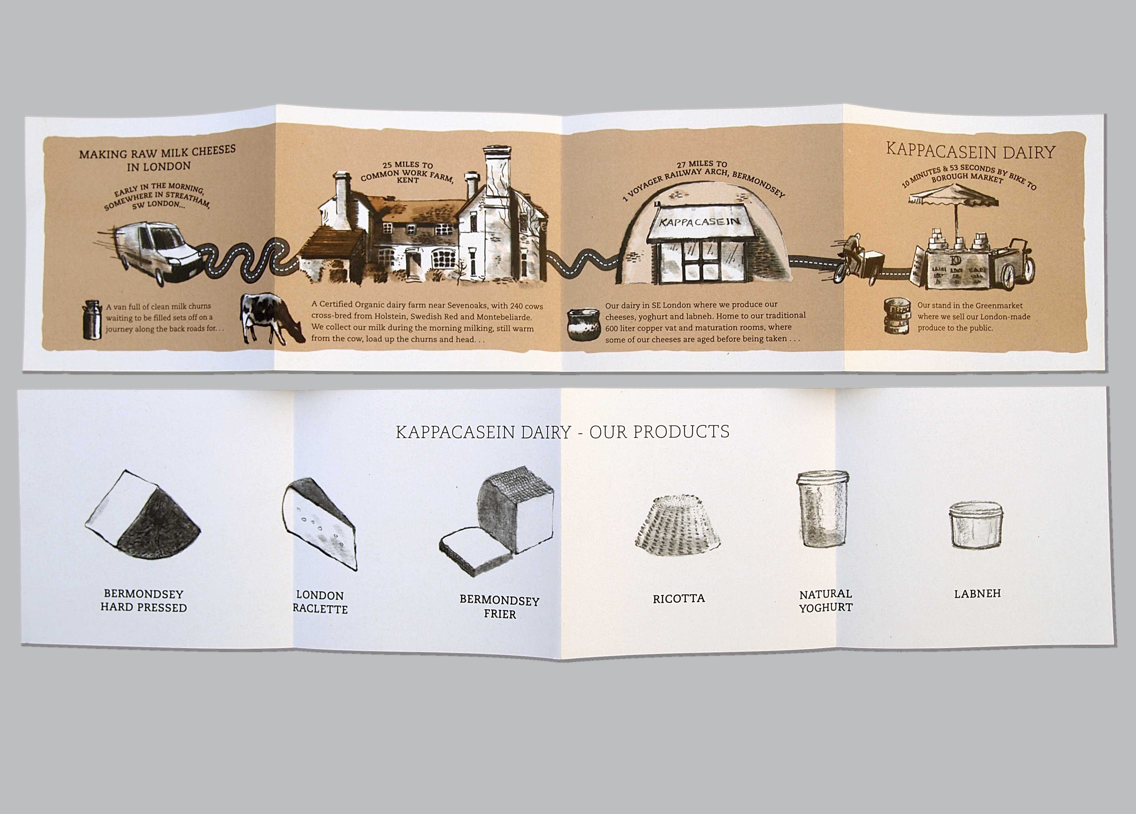 Two-sided accordion pamphlet outlining the journey of the milk from the farm to the production space to the market, with a list of products on the back.