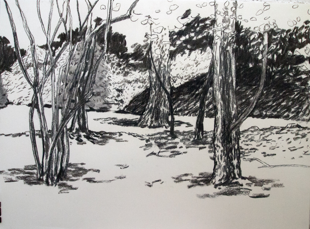 Duwamish 18, 2018, Charcoal on paper, 22 x 30 in.