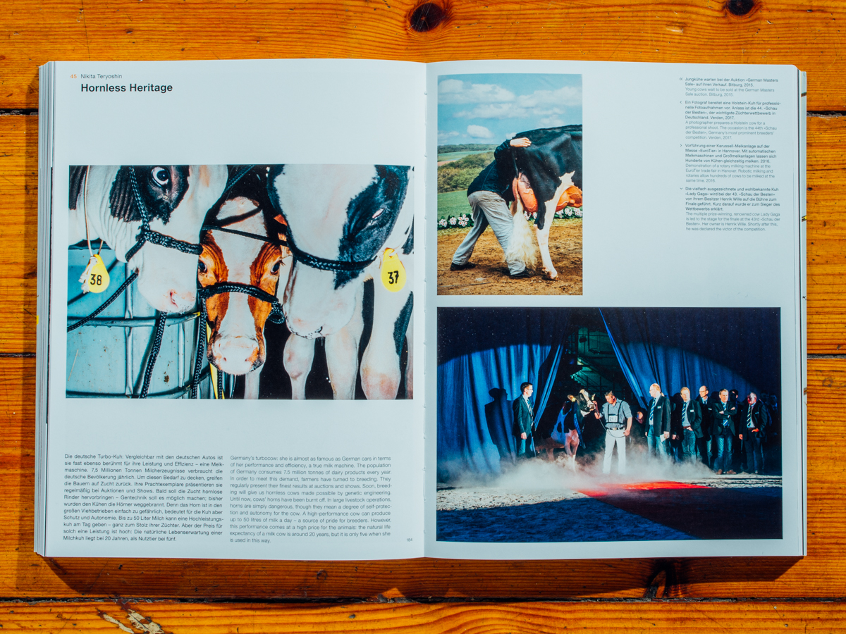 Ausstellungskatalog Lumix Festival / Hornless Heritage / Juli 2018