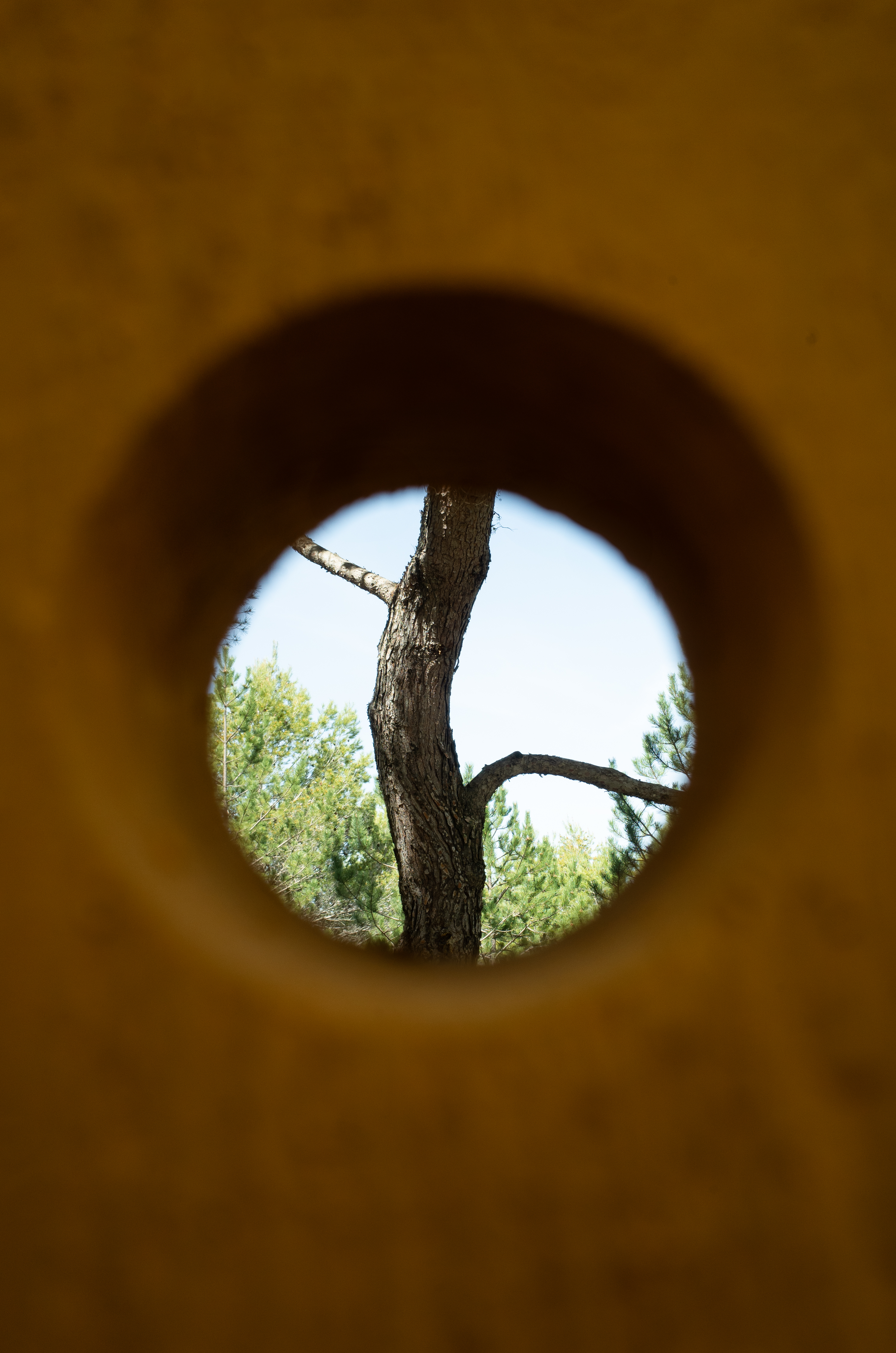 Les yeux en face des trous, Château La Coste, 2025