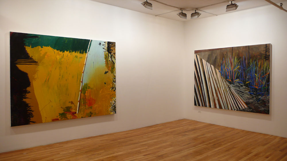 Installation, Newtown, Lombard-Freid Projects, 2007