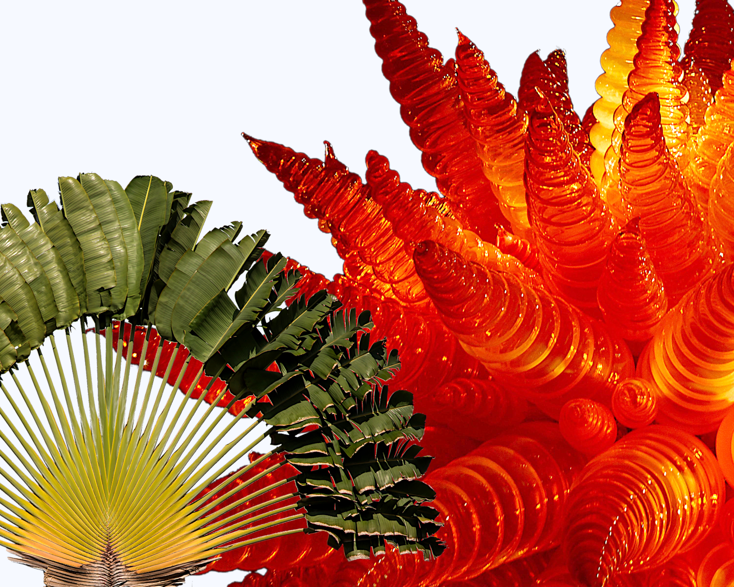 saturday first light