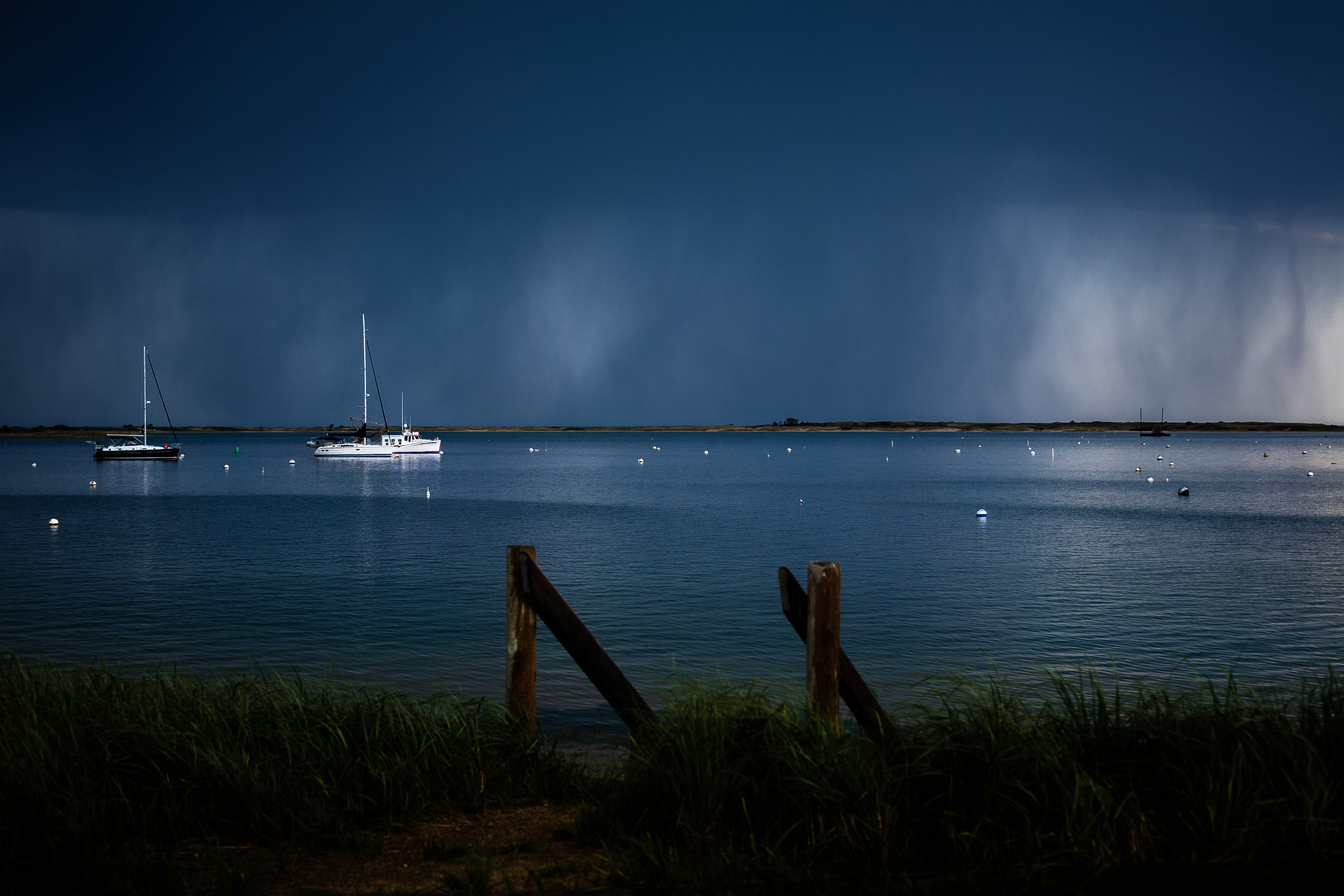 Spring. Chatham, Massachusetts 2023