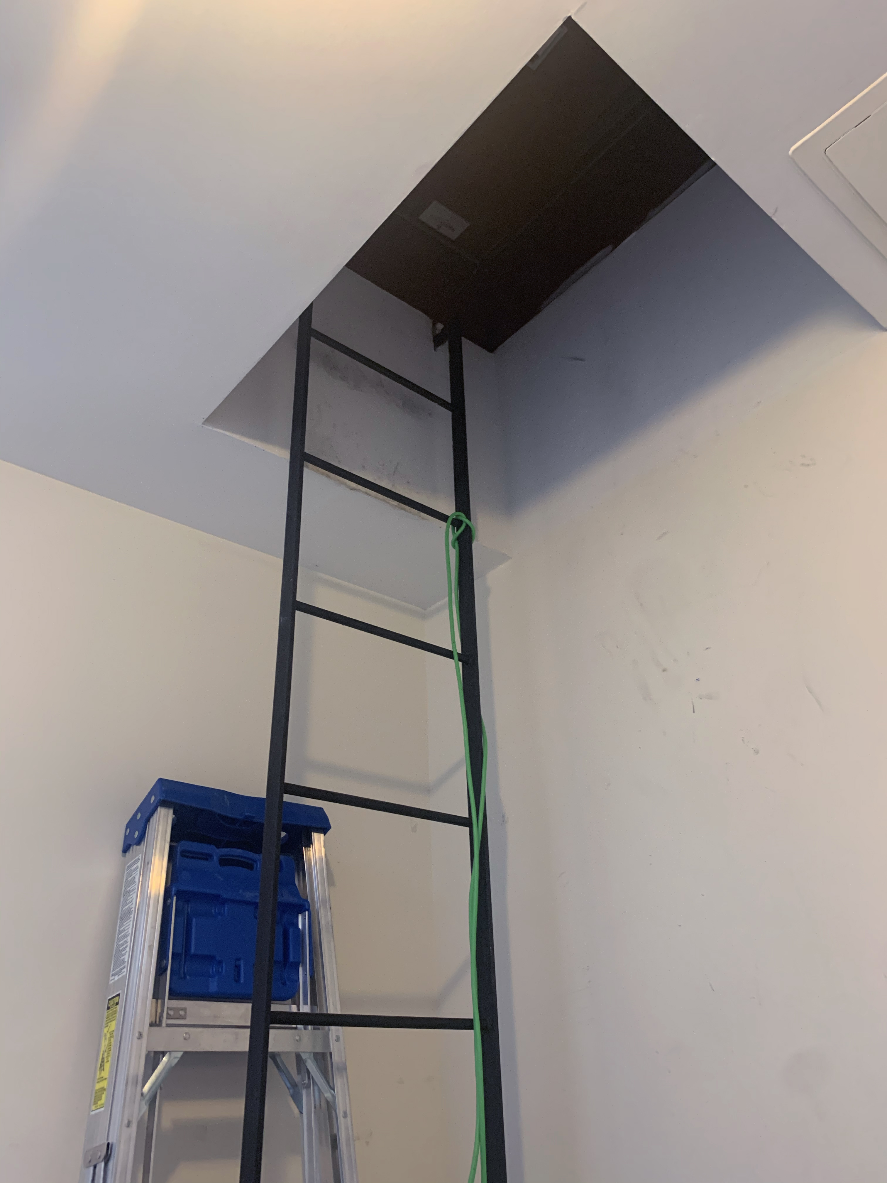 The ladder I climb to get to the roof! :-(