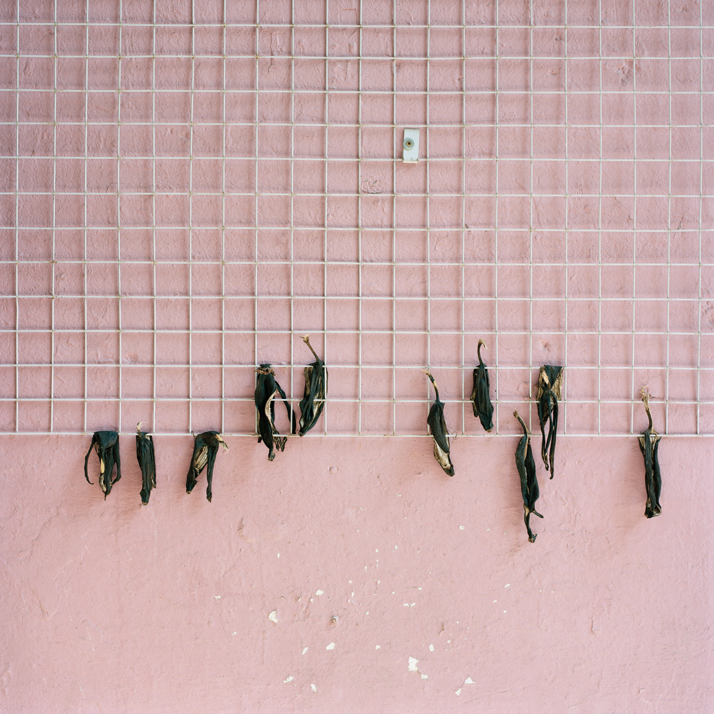 Hong Kong Alley VI, 2015