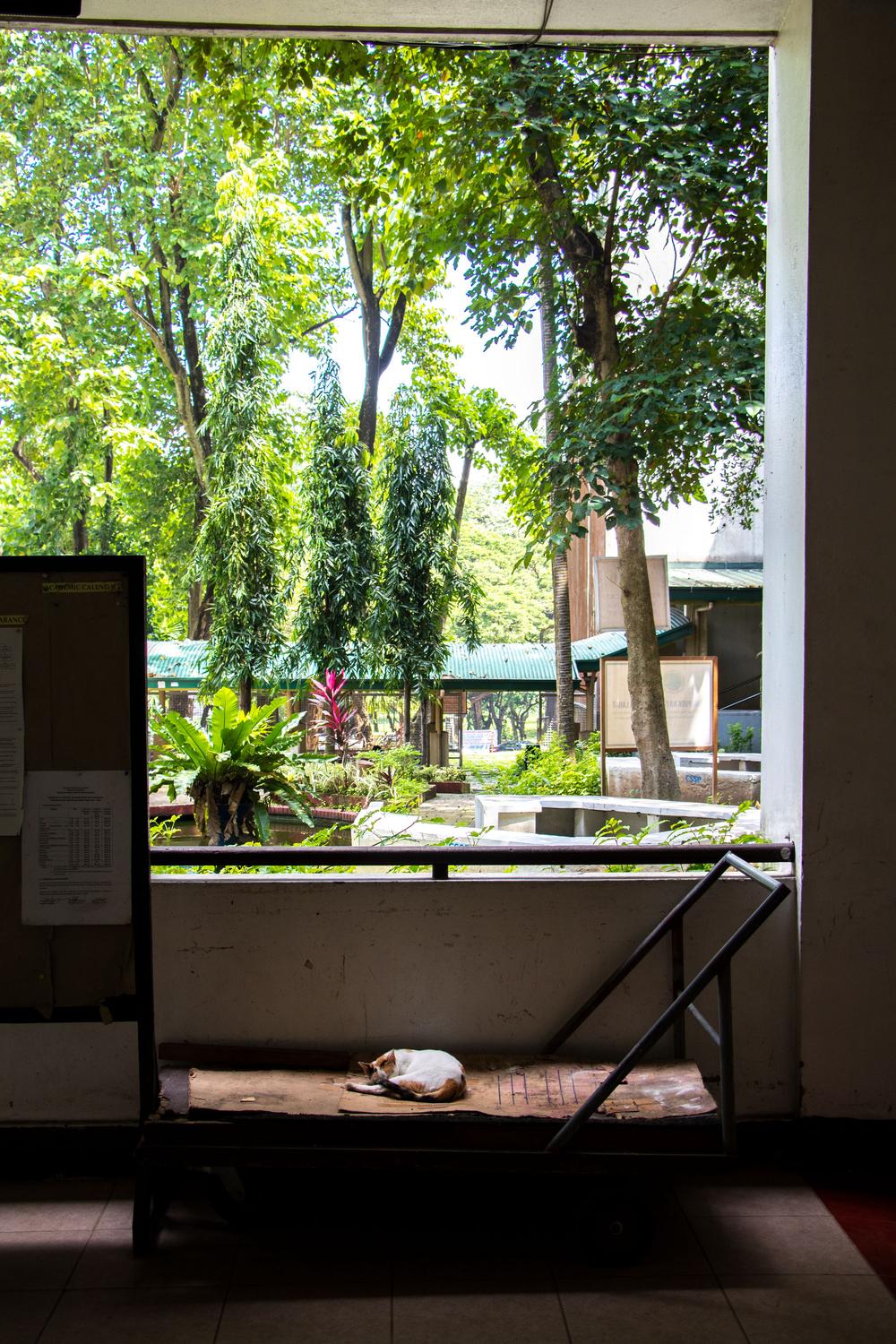 Diliman - College of Arts and Letters, Quezon City, Manila, Philippines