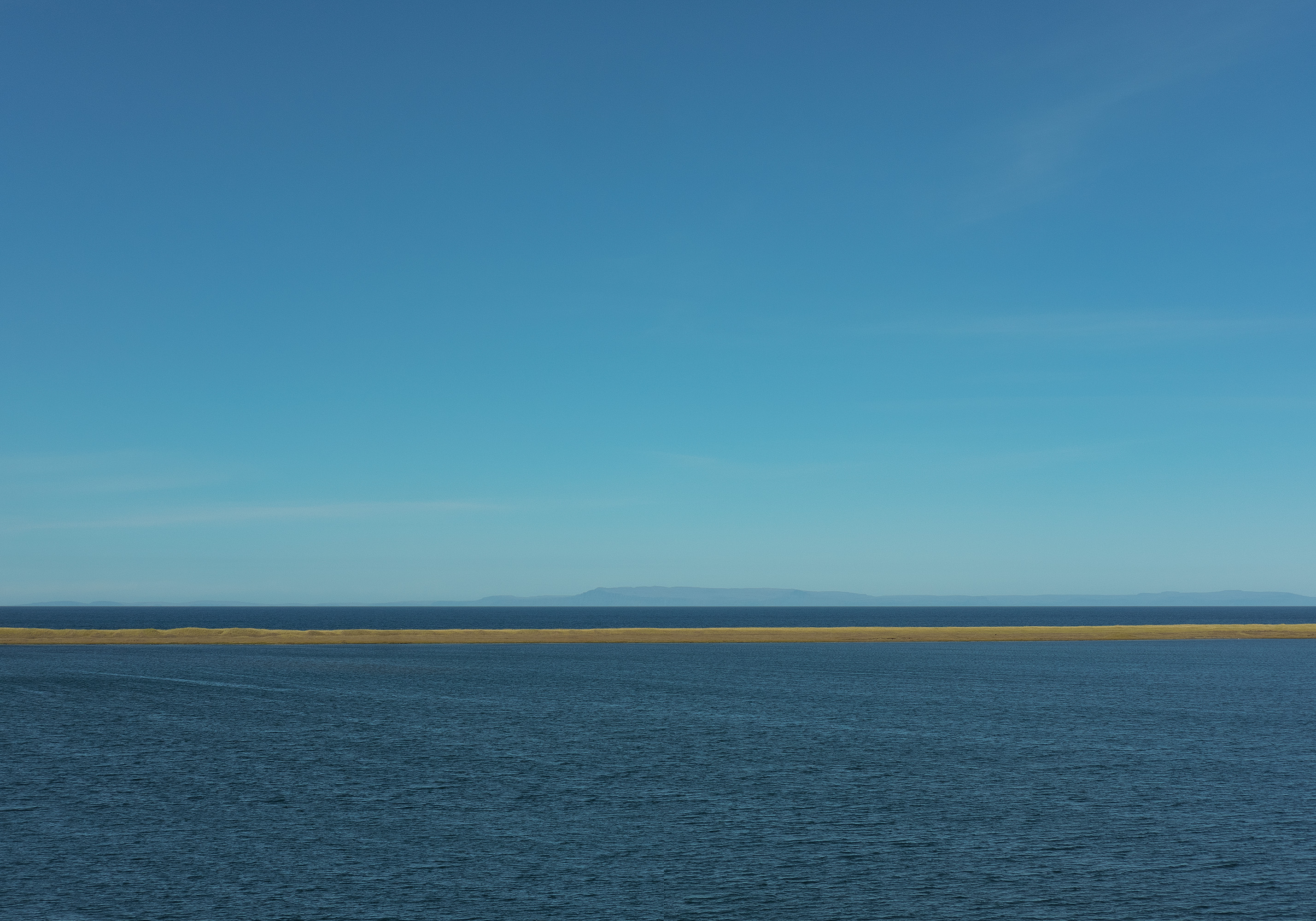 Domingo Nardulli TIFF