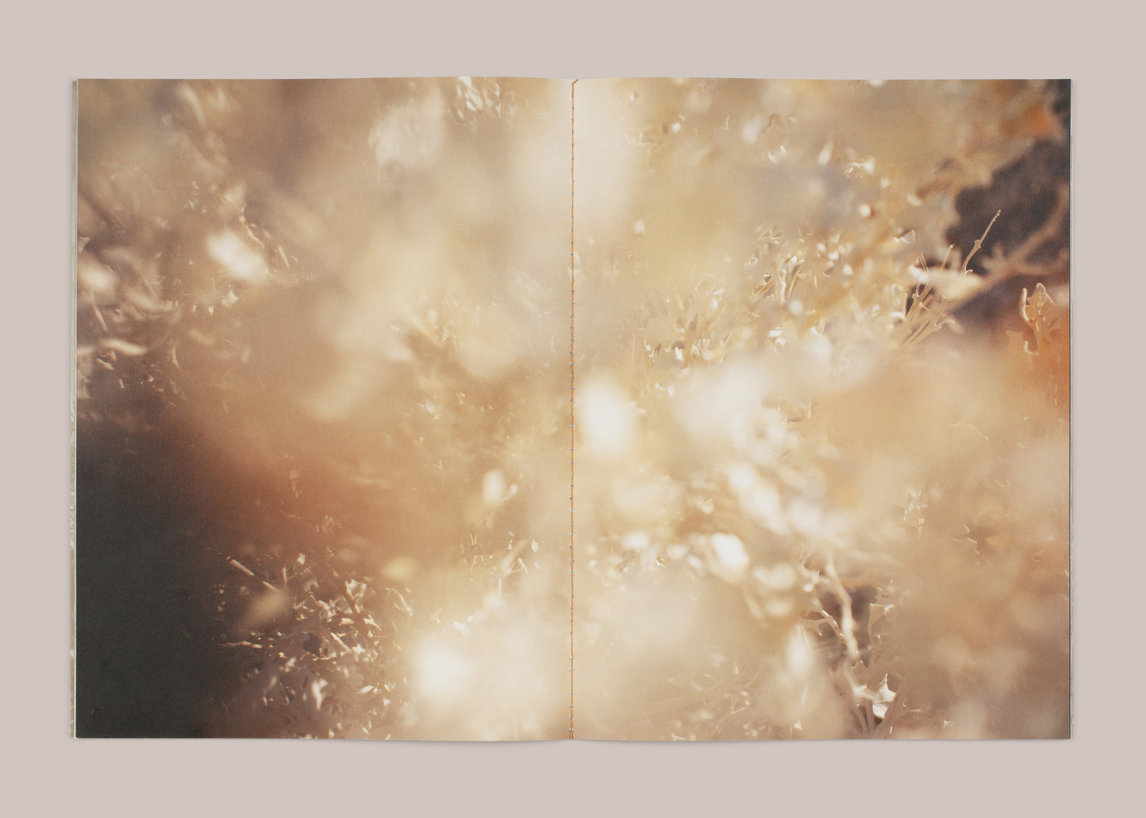 Memory of Water | Justin James King & Leah Koransky