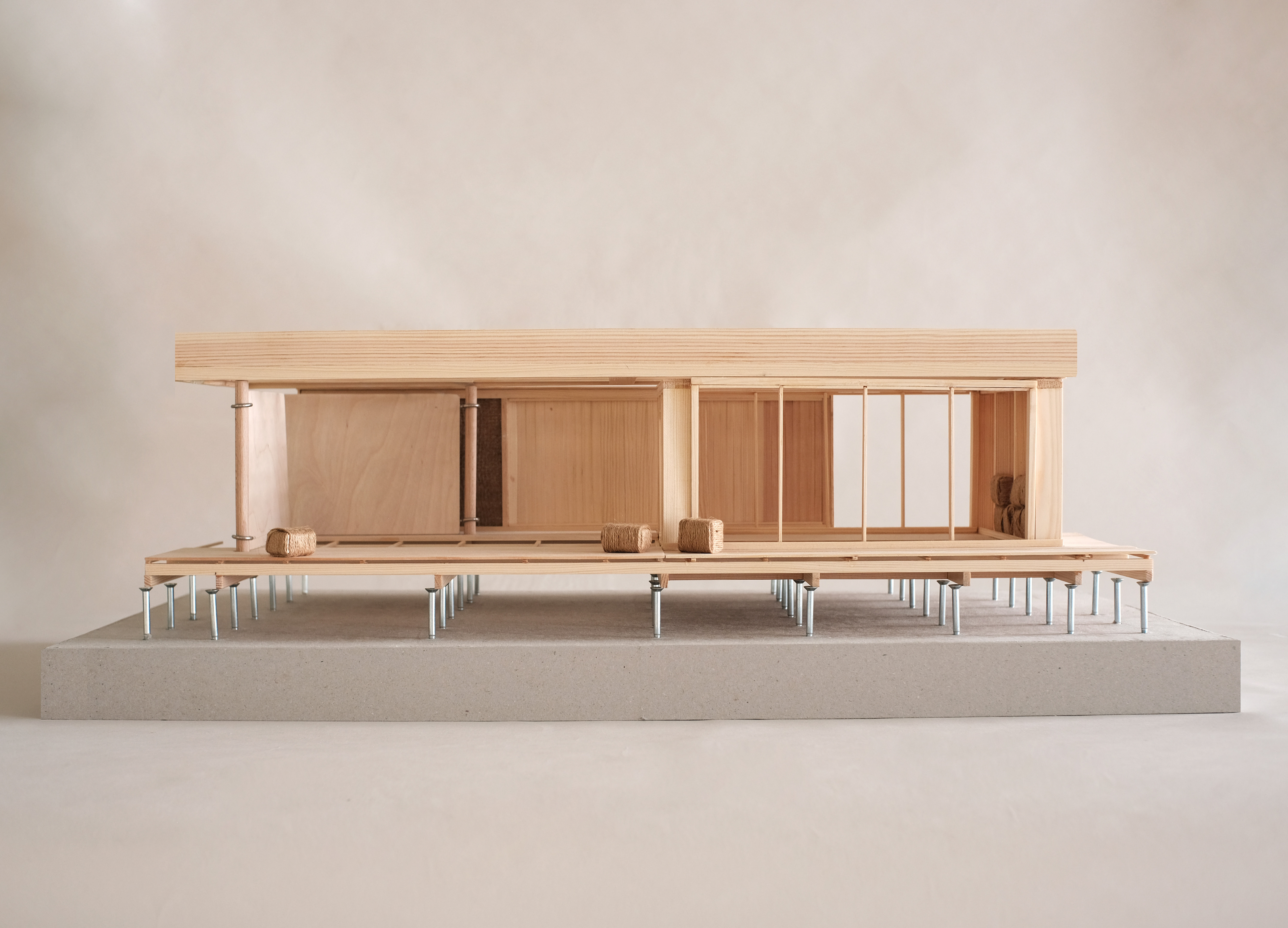 ︎︎︎100 Tage Stroh