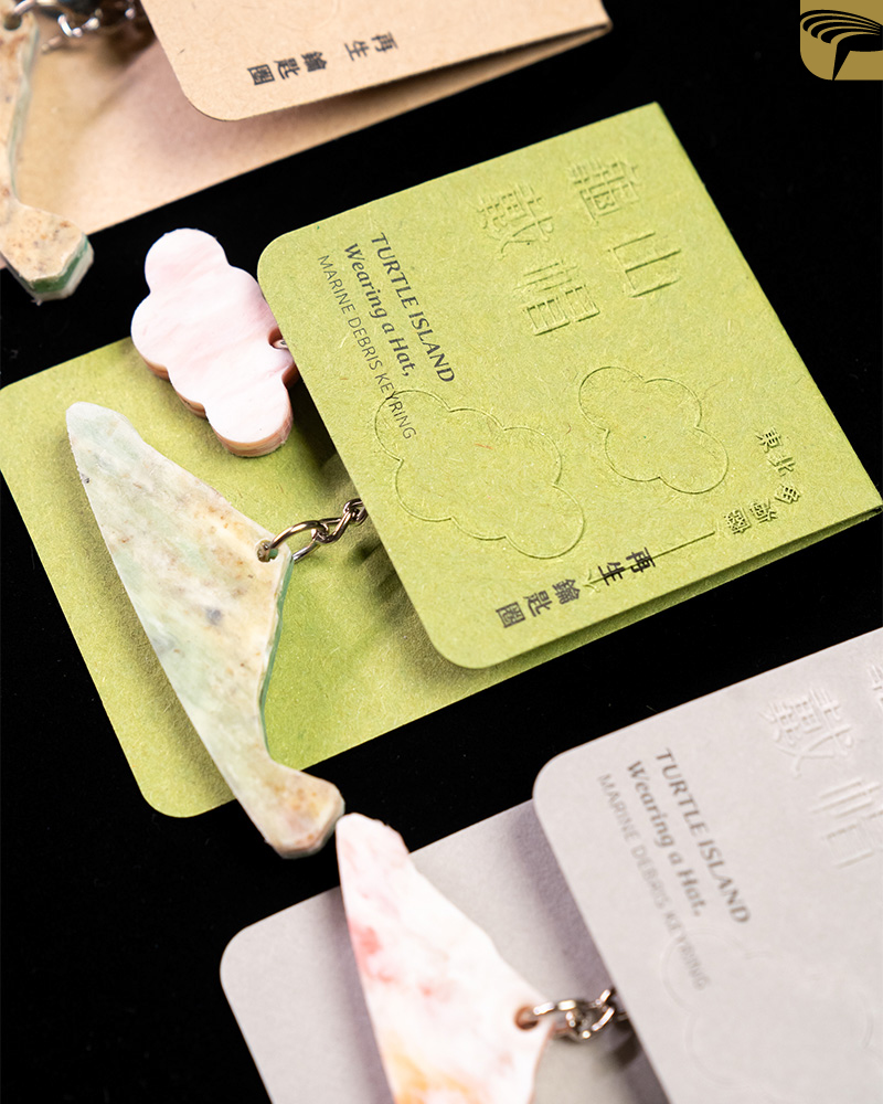 Turtle Island Wearing a Hat