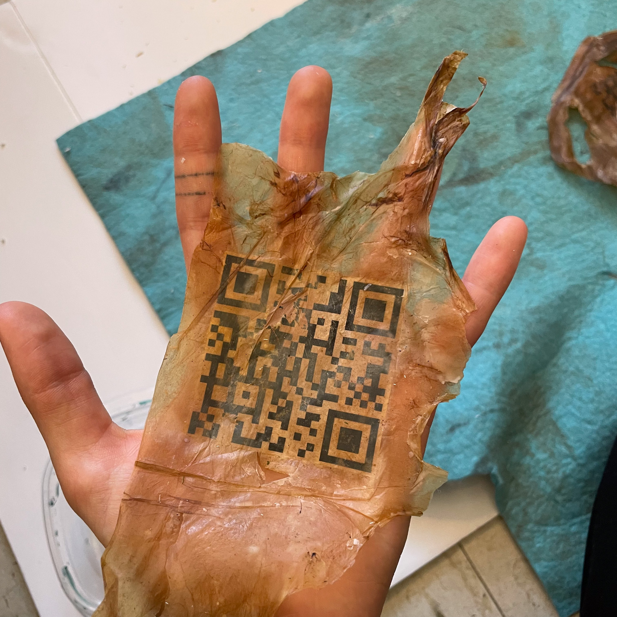 👁👁 ^ Coverings, coded in Glitch, output as QR on SCOBY (Symbiotic culture of bacteria and yeast)