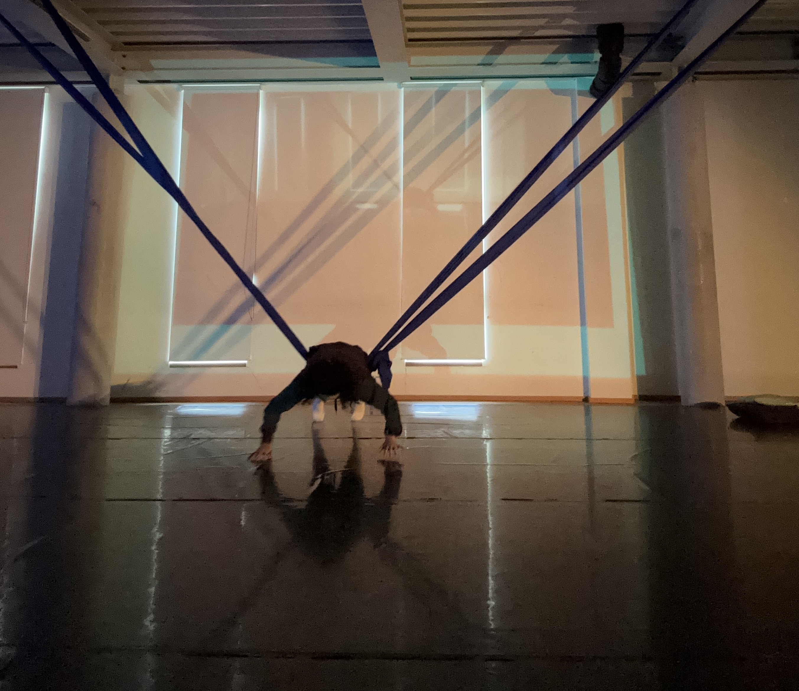 Hybrids new research 2025.  Sudufer, Freiburg.