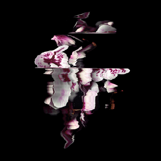 Static Flower: China 1
