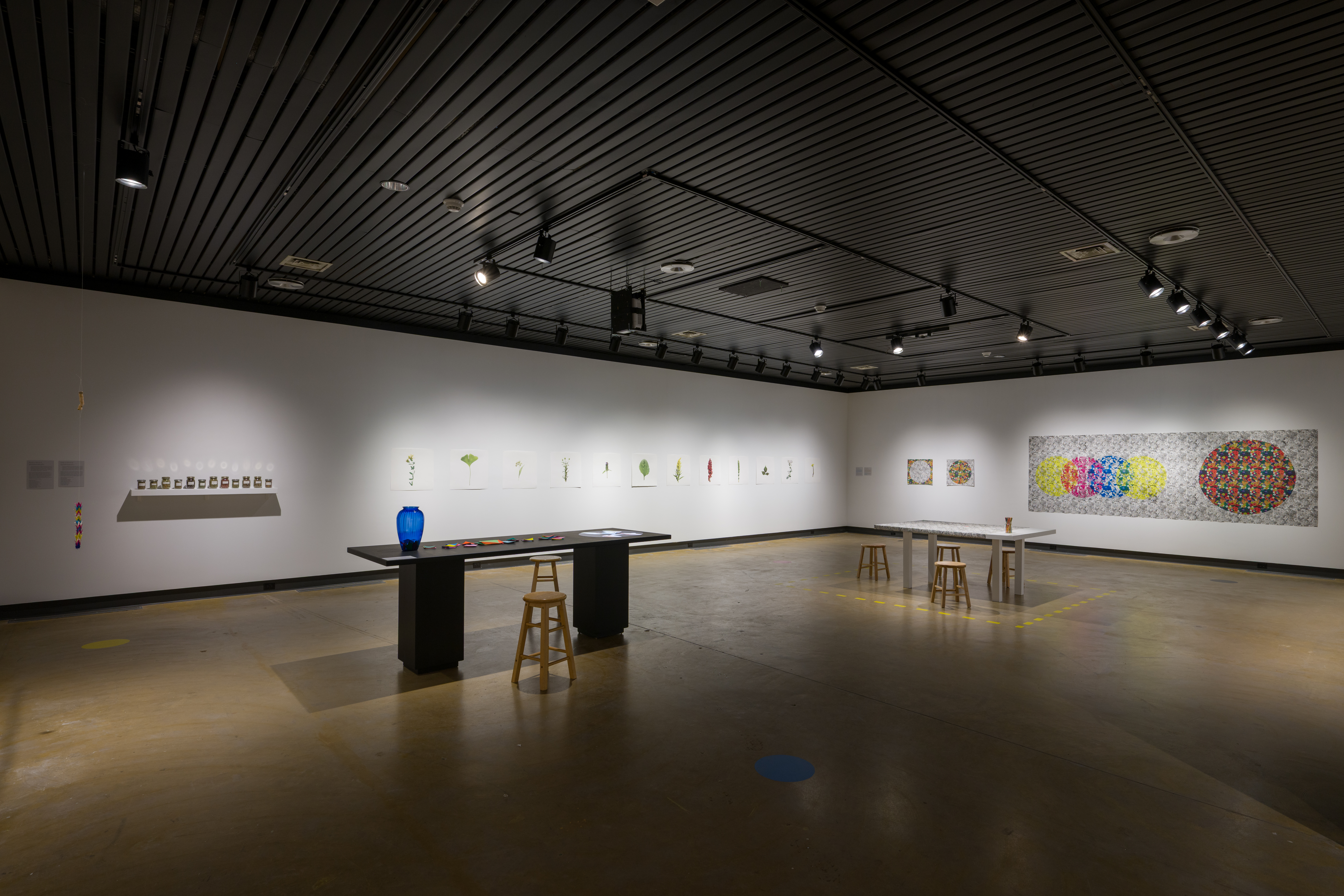 Se (re)cueillir | To make whole (2026)