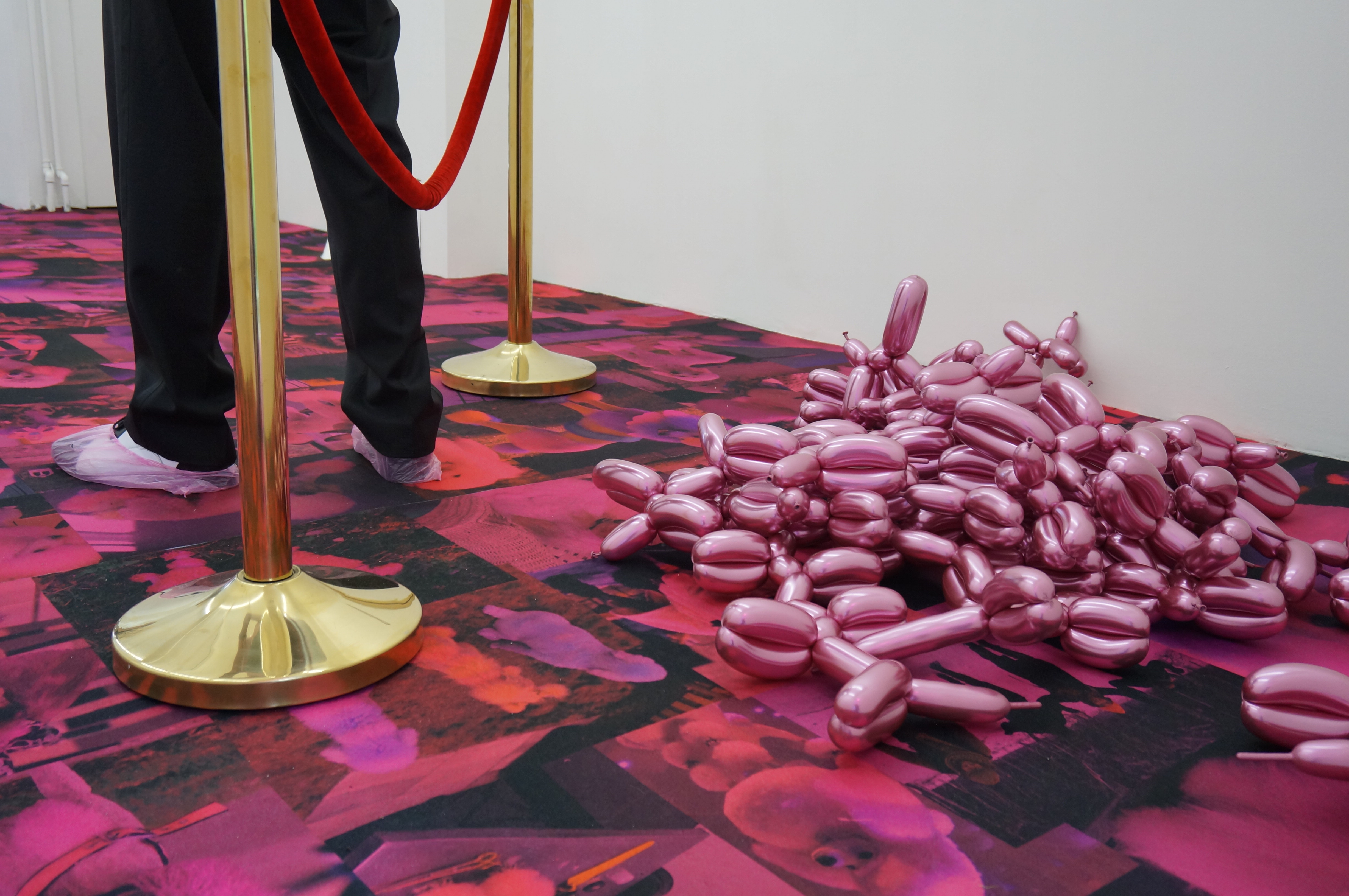 P|cture by Kim Weynants