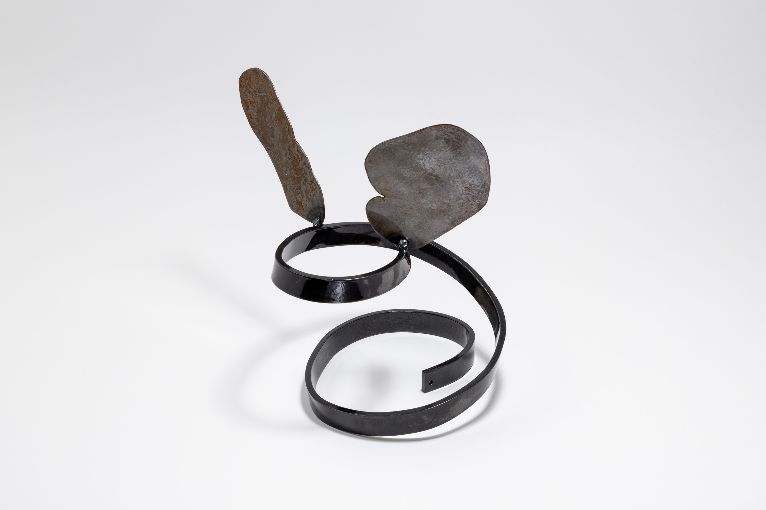 Xenophora 6/13, 23.5 x 18.5 x 26cm