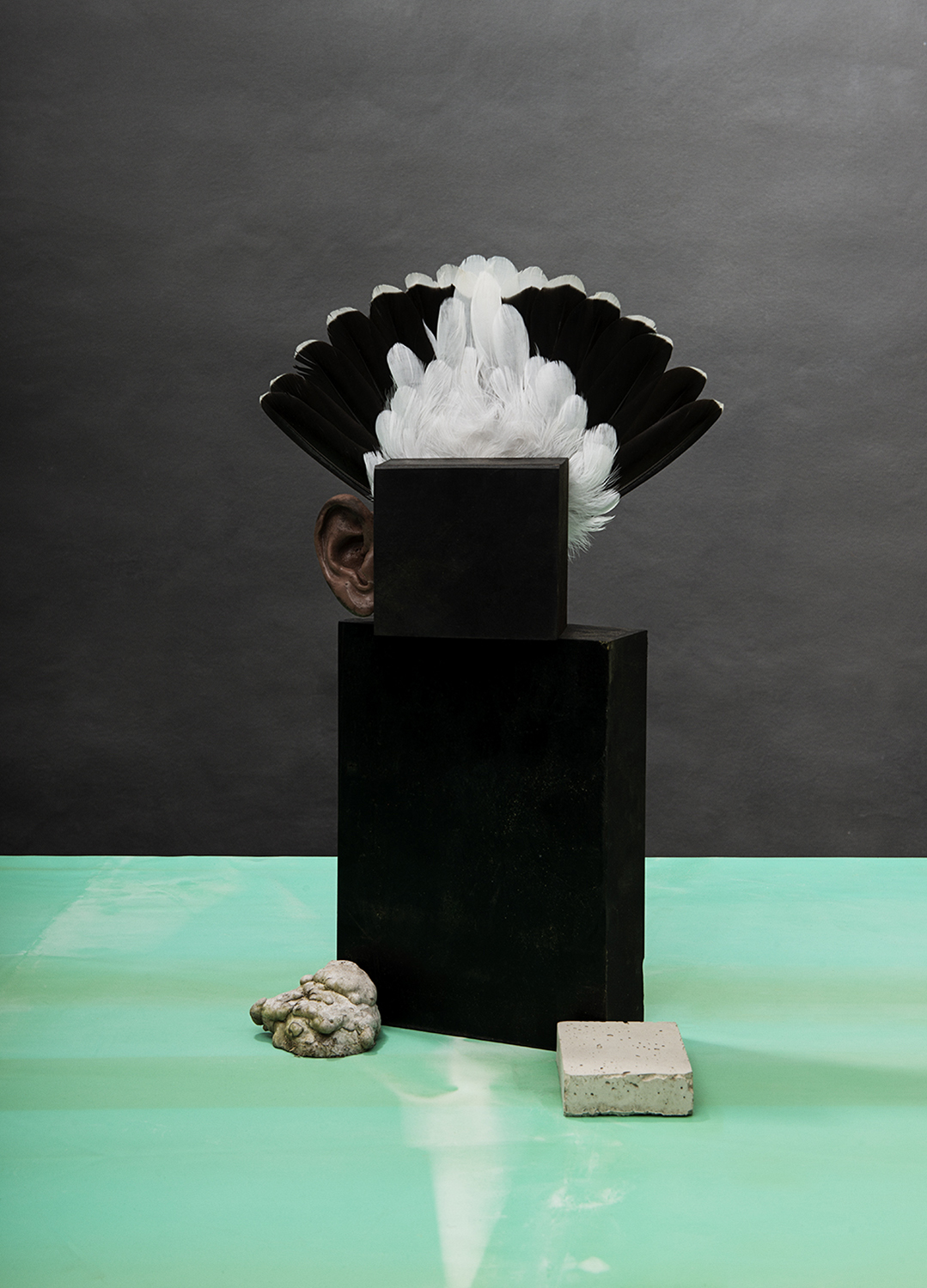 KMA photographer Mattias Nyhlin photographs black and white feathers and a black box on a green surface