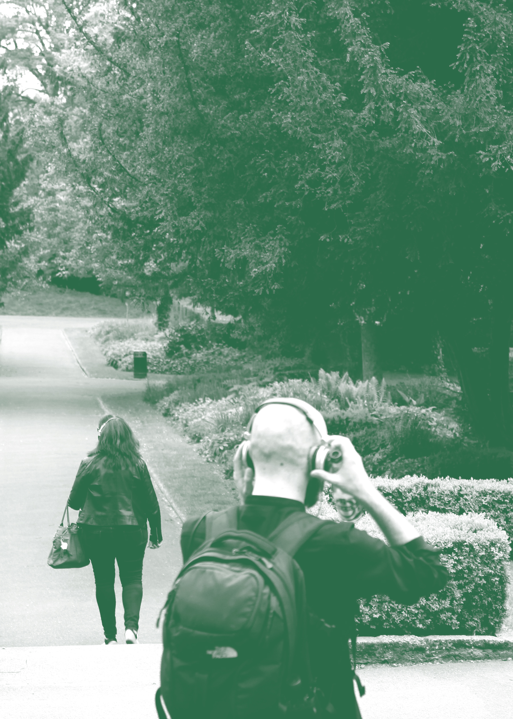 Trees Are Fags, 2018