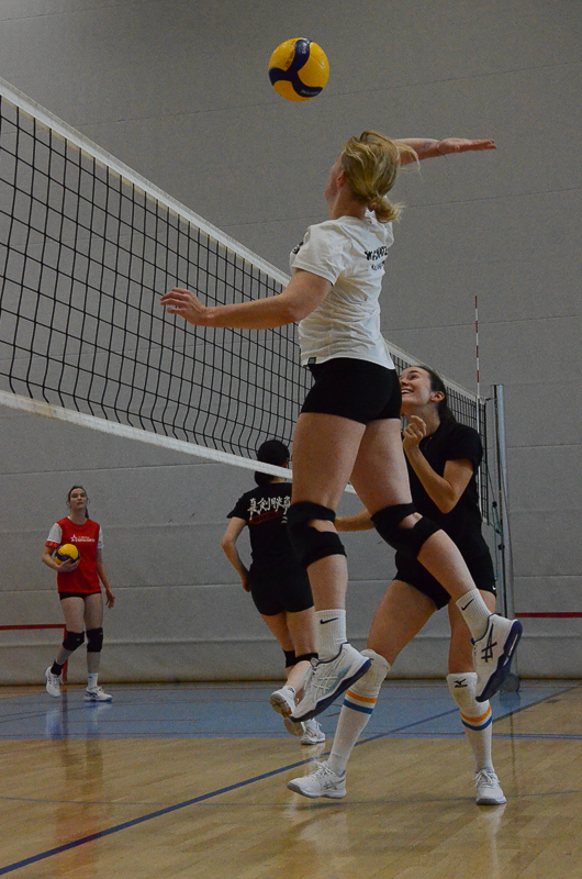 Kraftvoll und anmutig: Die Essenz des Sports