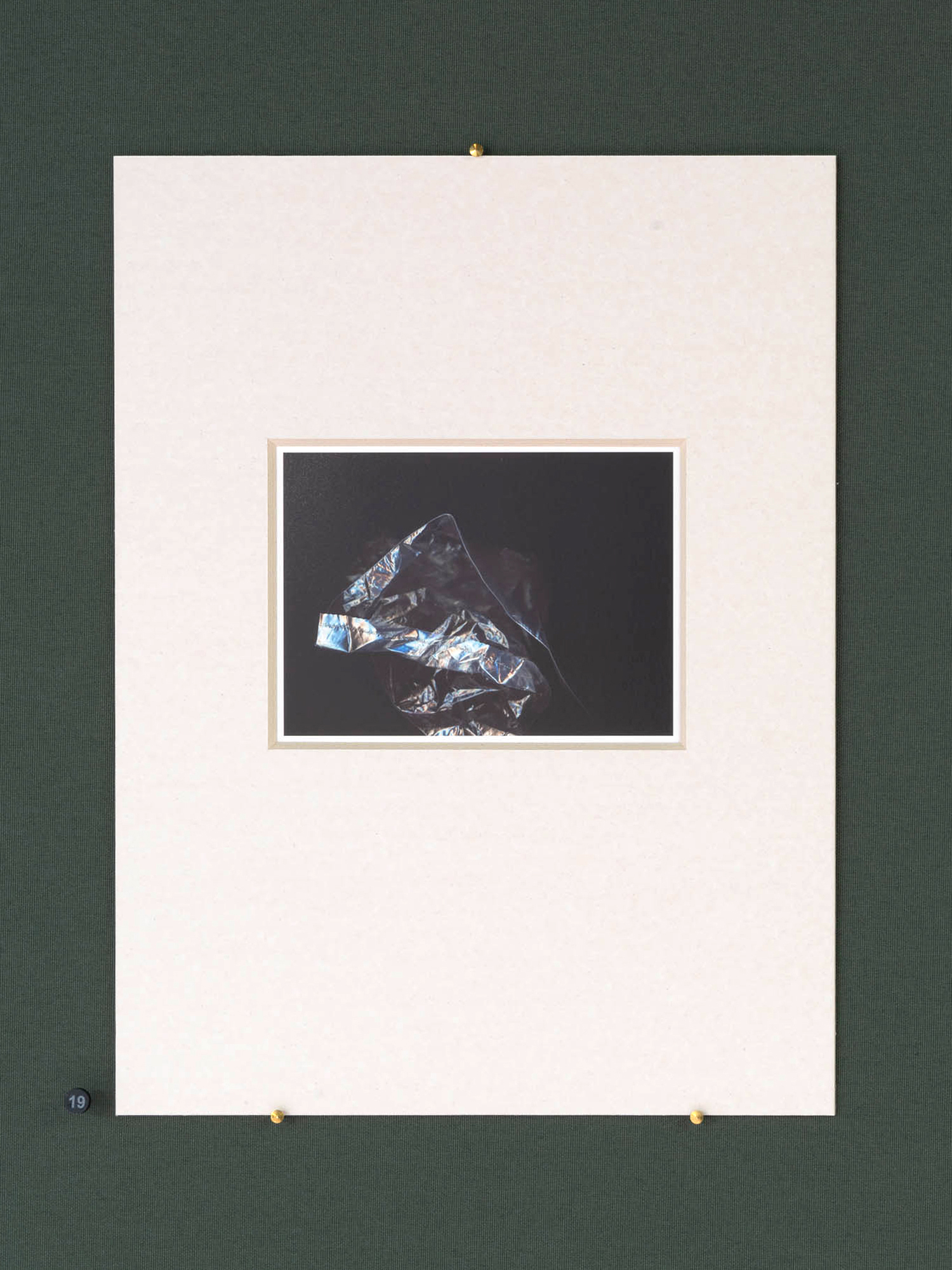 N&deg;19 - Il Brutto Anatroccolo 