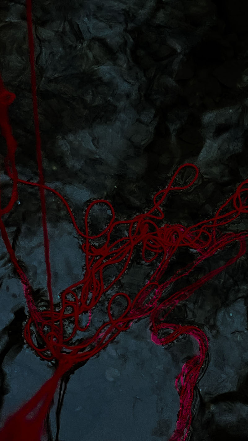 ROTER FADEN  - ZUFALLSBEGEGNUNG MIT MEINER SELBST von Paolina Zanatta