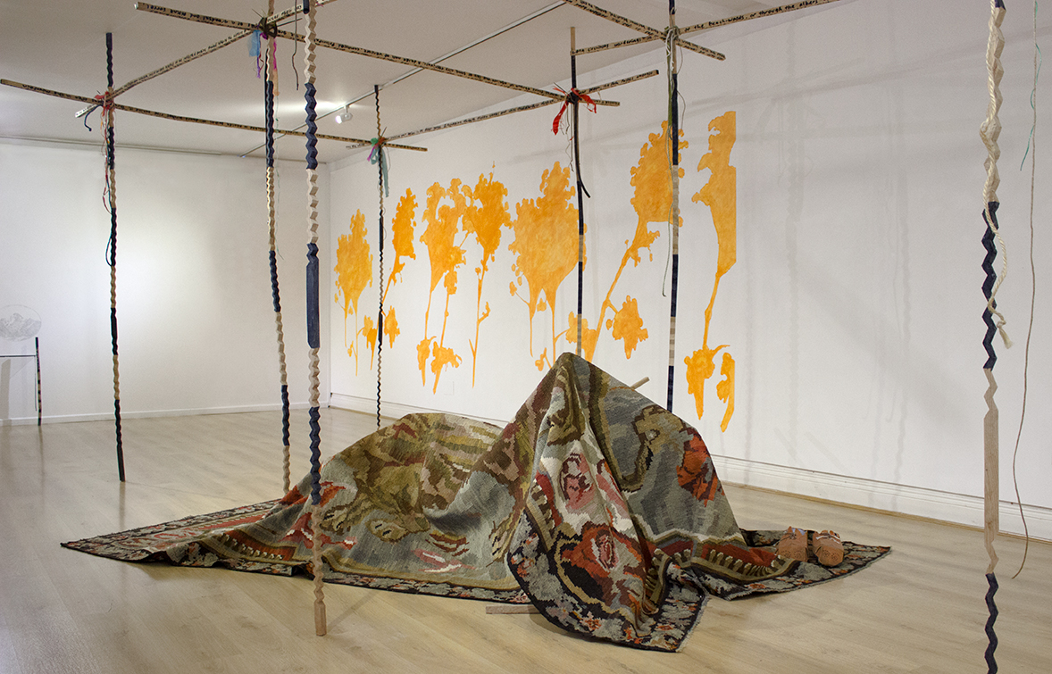 mountain lion, installation view