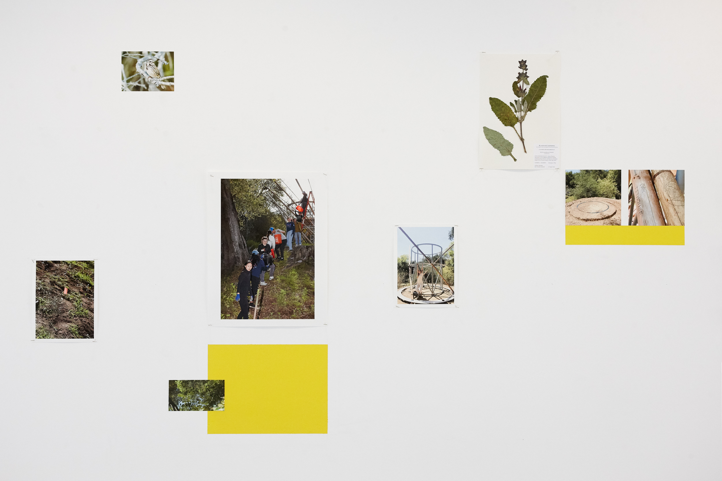 Installation view, UCLA Broad Art Center, April-May 2023.