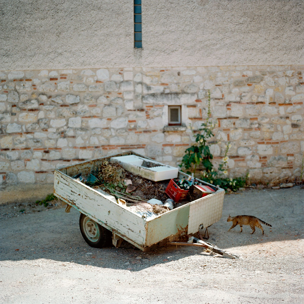 Stray, Auvillar, France, 2009