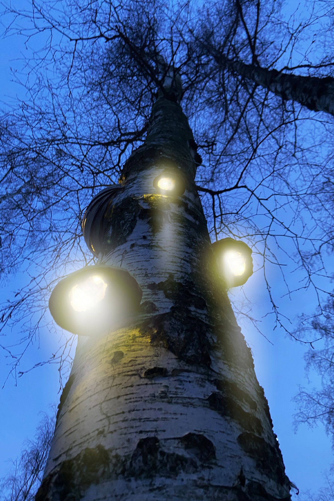 FROM WHITE TO LIGHT by Lea Dekara