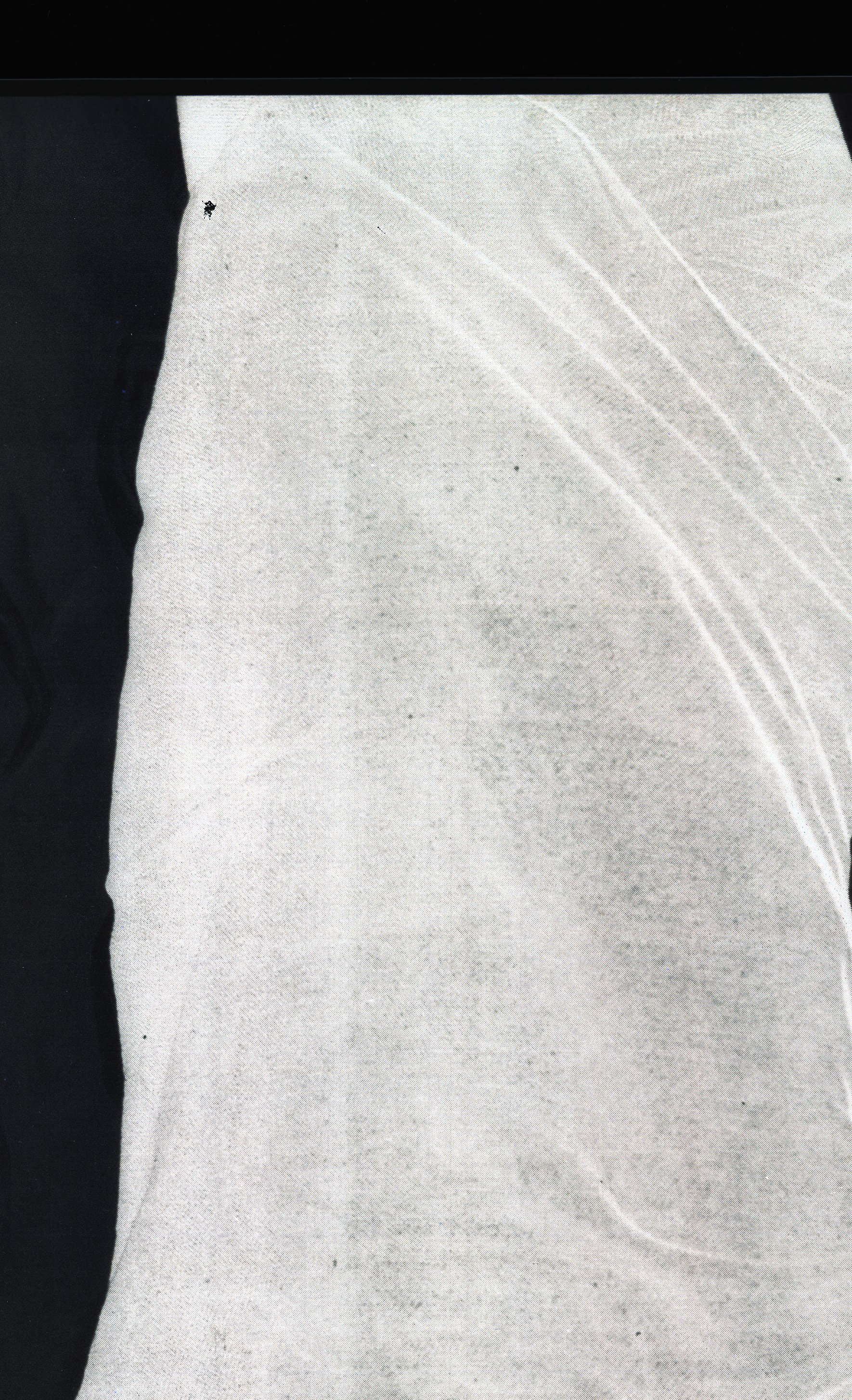 film transparency scan, 8 x 10 in. 2025.