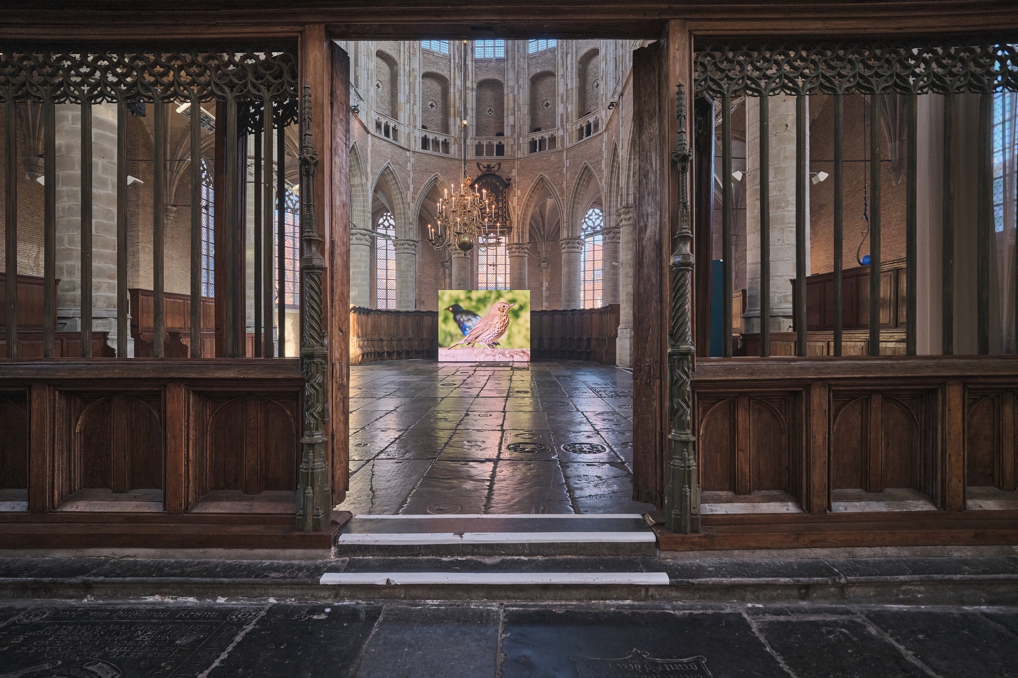 Grote Kerk, Alkmaar 2025 photo Rick Akkerman