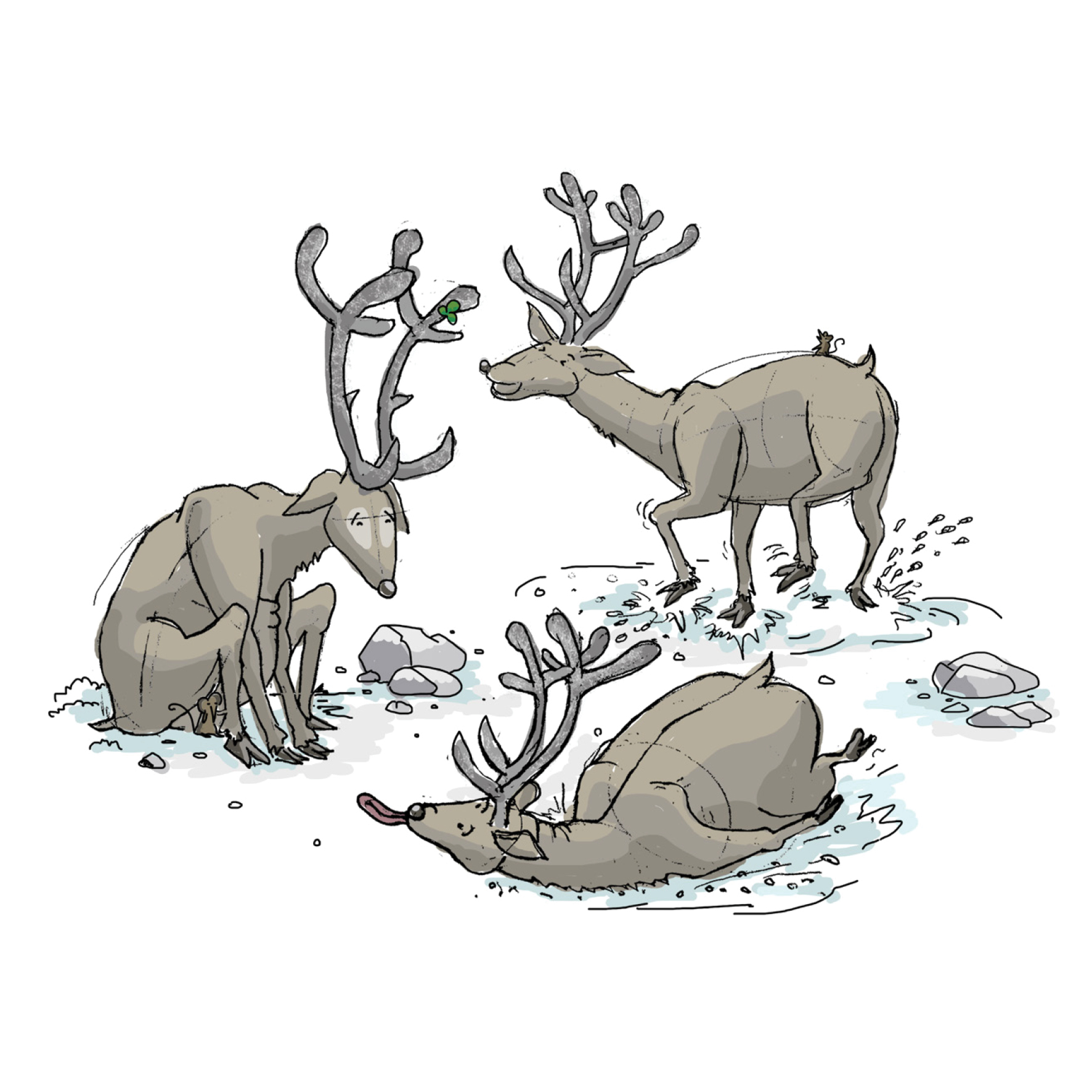 Seamrog The Irish Reindeer, IE