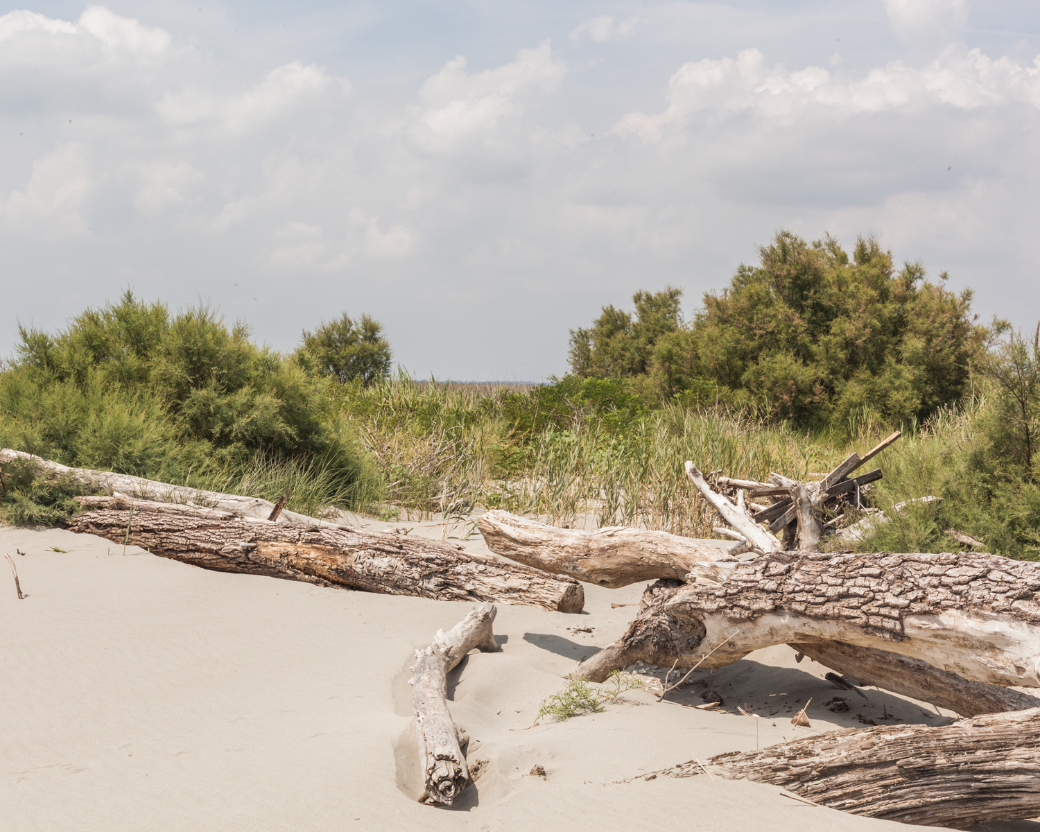 Sabbioni 2012, Italy