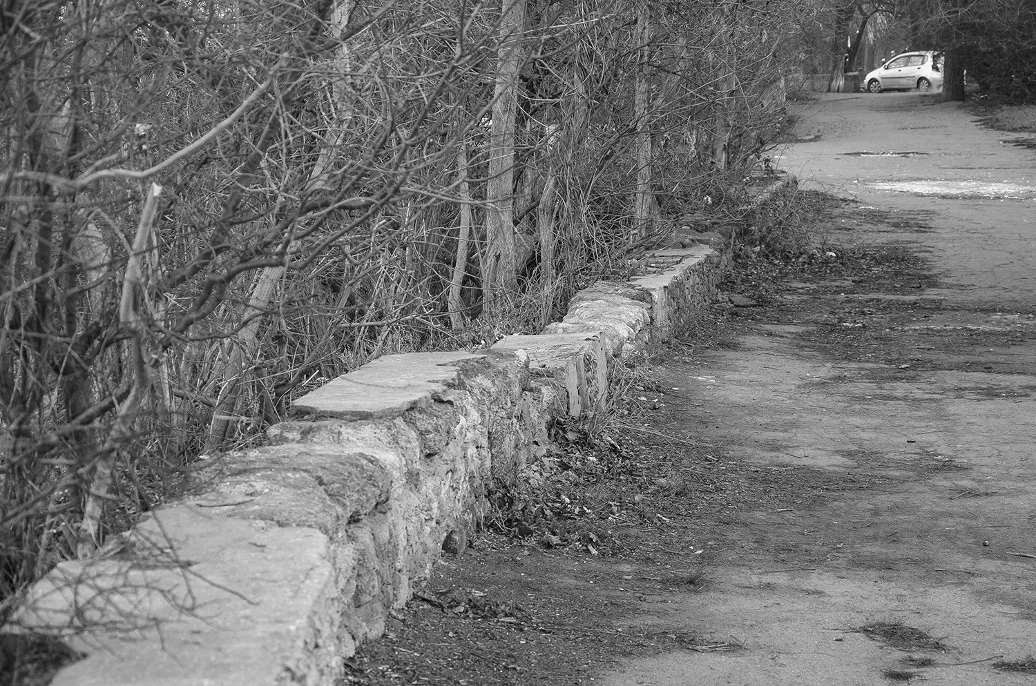 Labourbe Hill_Site_08