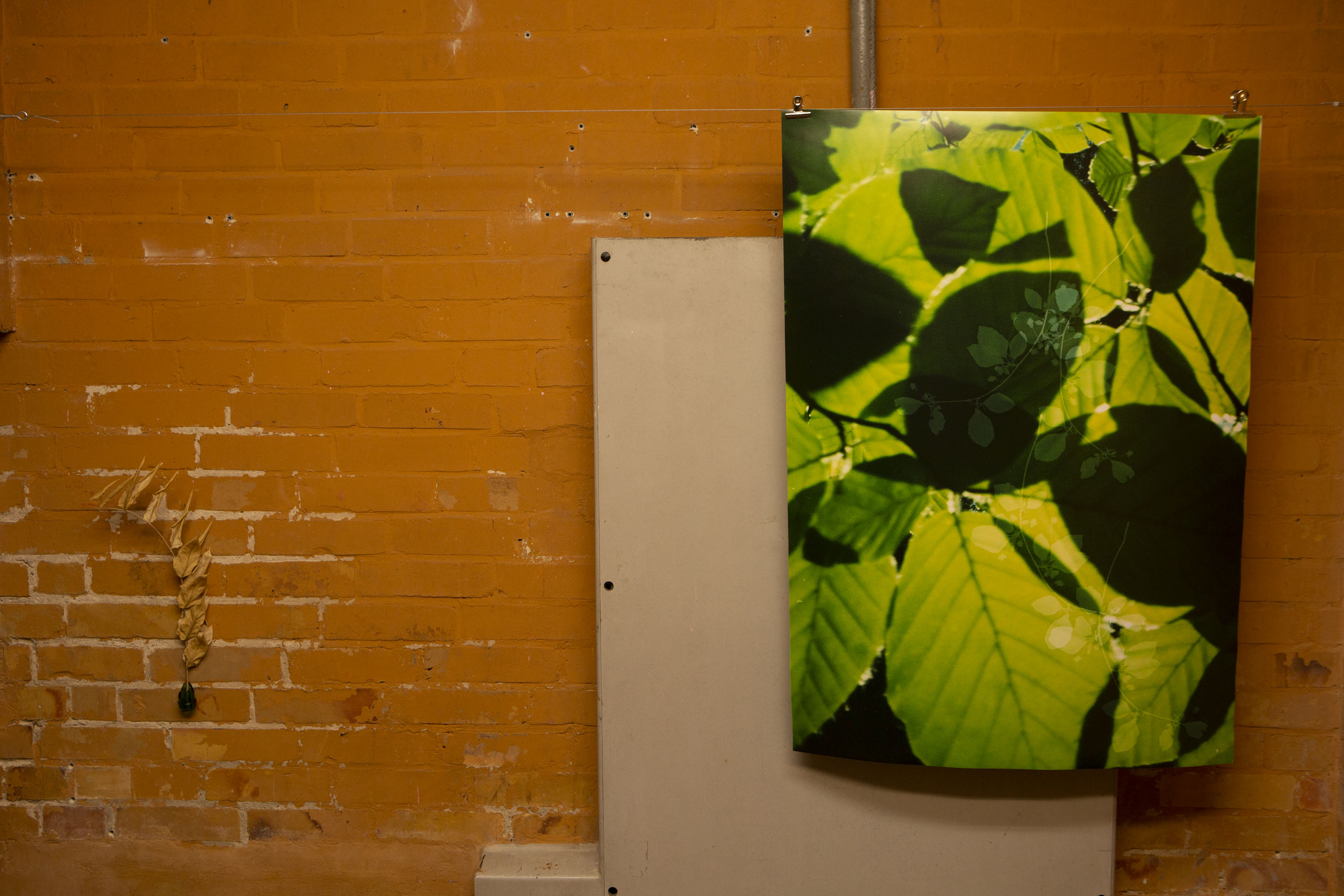 Eva-Fiore Kovakosky &ndash; Vernacular Unfolding, Image: Juan Saez, B&auml;renzwinger Berlin (2023)