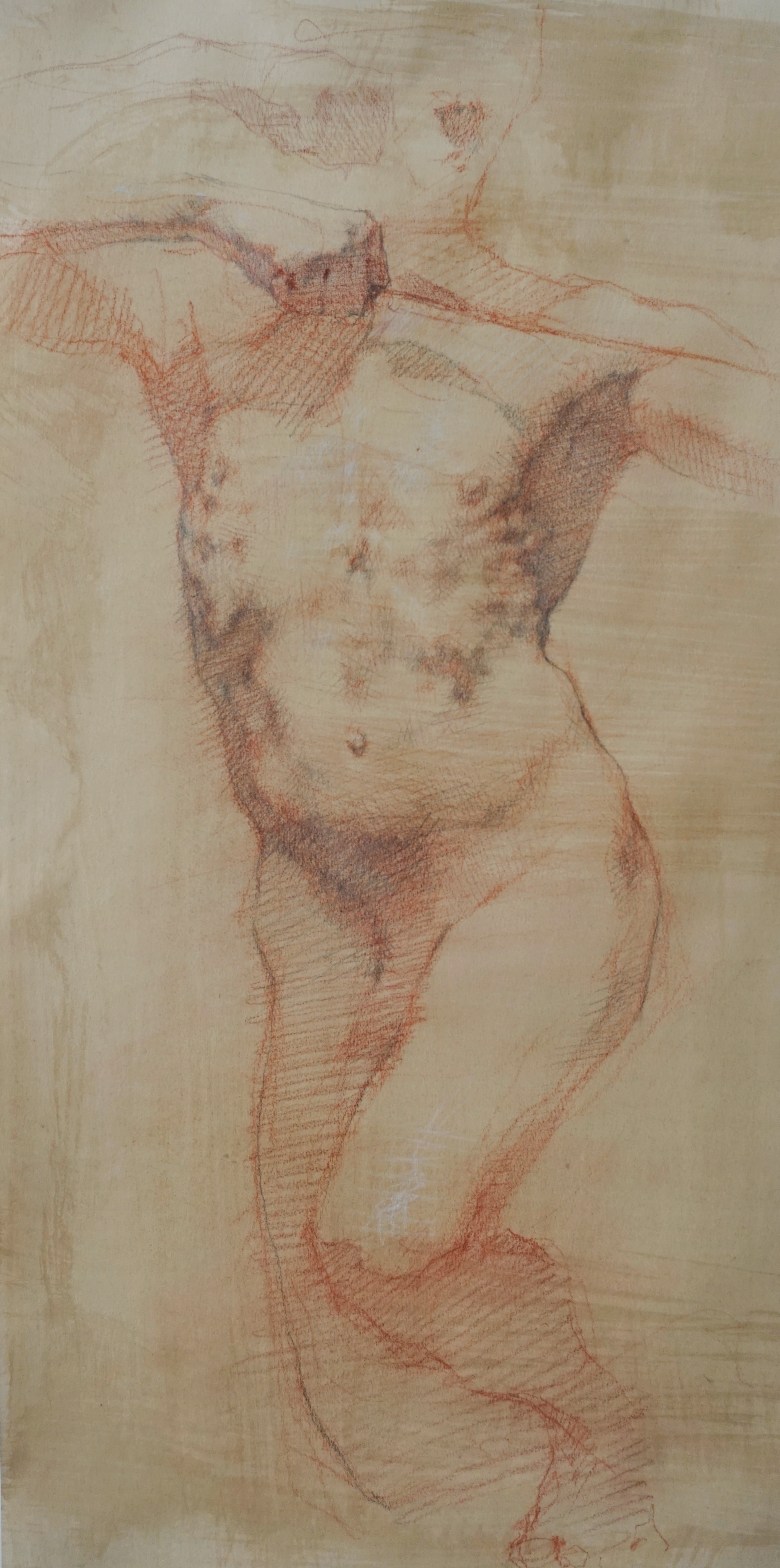 Essex Azhm with Bow, Pencil on Toned Paper, 10.5x21.5&rsquo;&rsquo;, $550