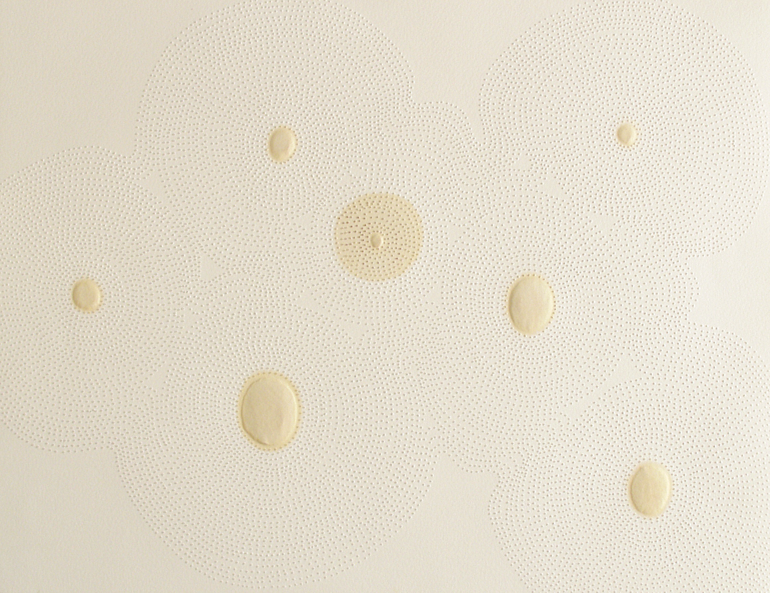  Untitled, 2004 . Perforations, embossing and oil stains on paper . 32 x 41 cm