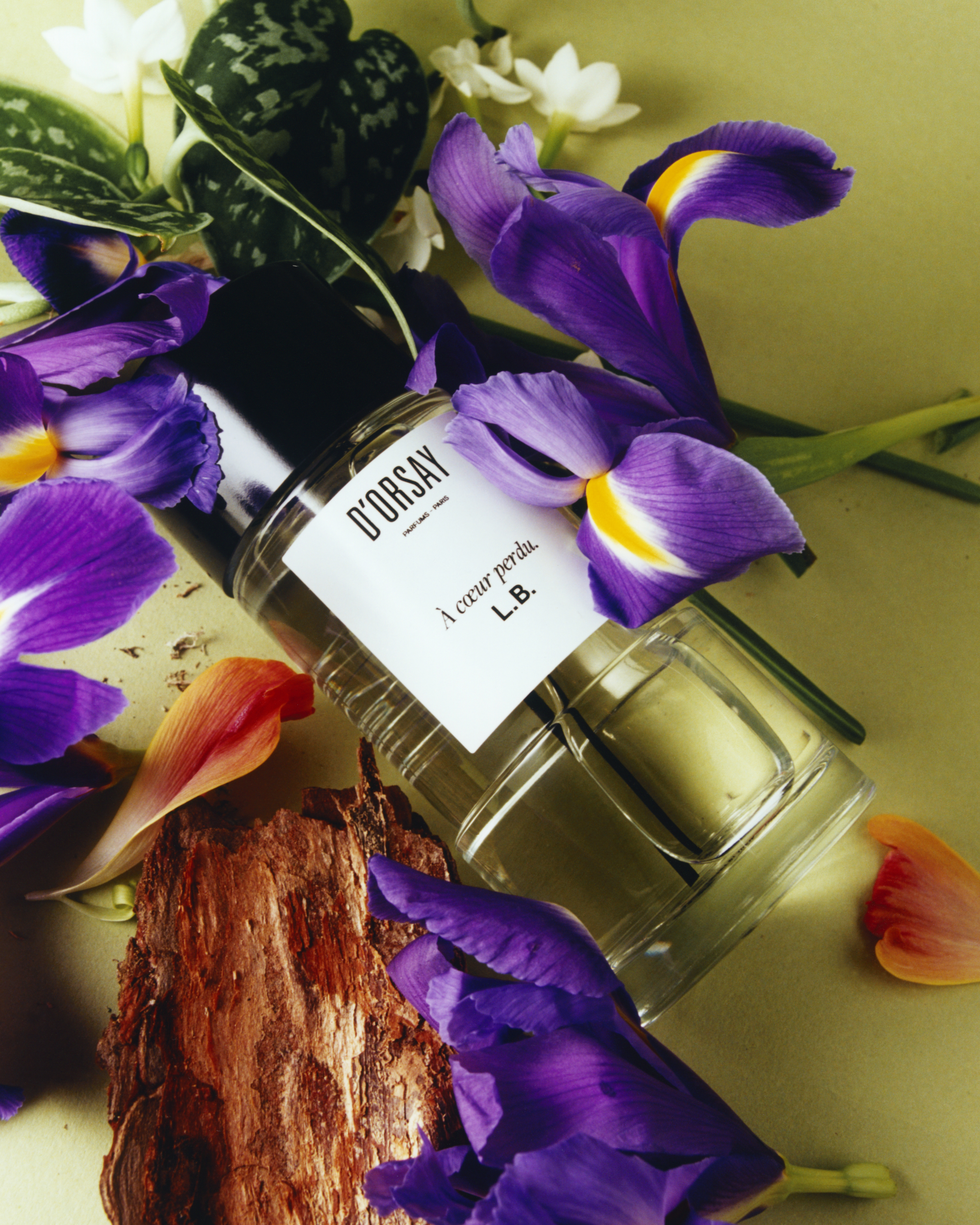 D'ORSAY EAUX DE PARFUM LAUNCH CAMPAIGNWITH BLUMEN