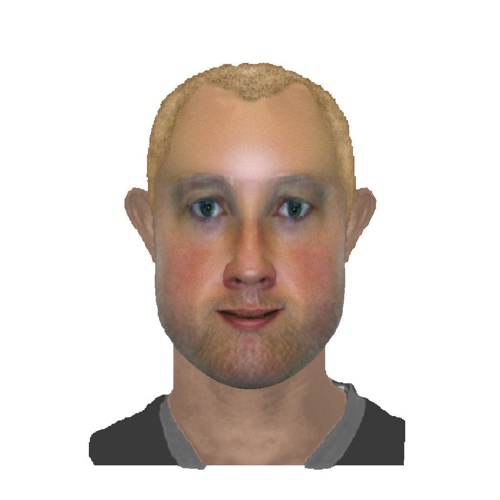 Fantomer, 2010-2012  Digital identikit images  Greta