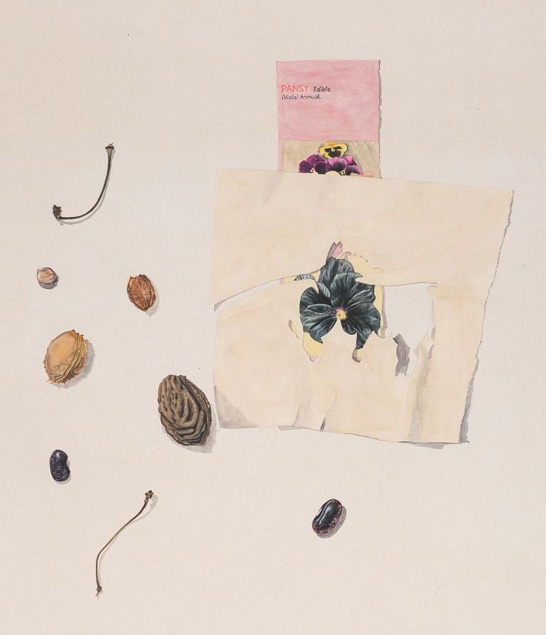 For the BirdsMinnesota Street Projects, September 22, 2018