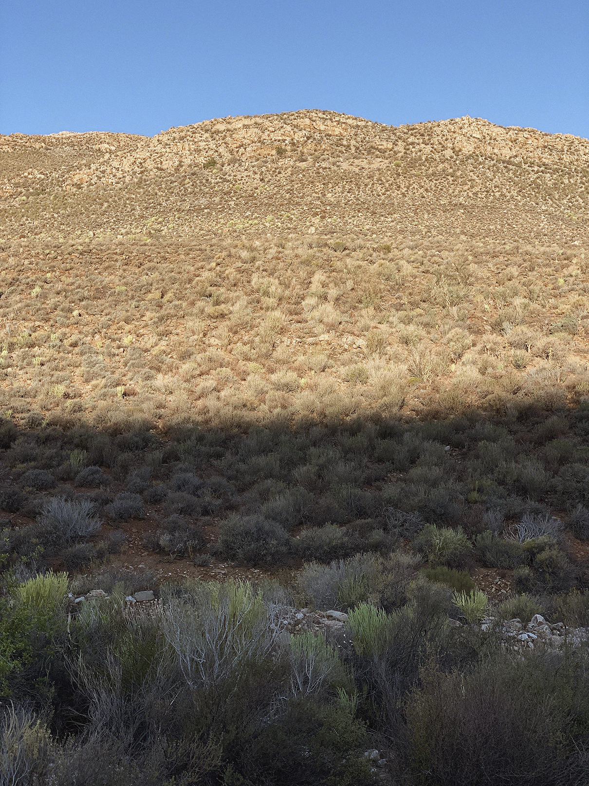 Untitled, Cederberg, 2019
