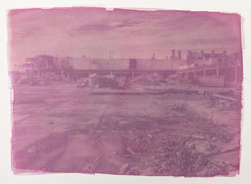 Ford-Site, Genk (Kristof Vrancken - 2017), 46 x 61cm, Anthotype: Drinkbare Organische Emulsie van Vlier- en Sleedoornbessen uit het geportretteerde vervuilde landschap. Belichting: 4 weken.