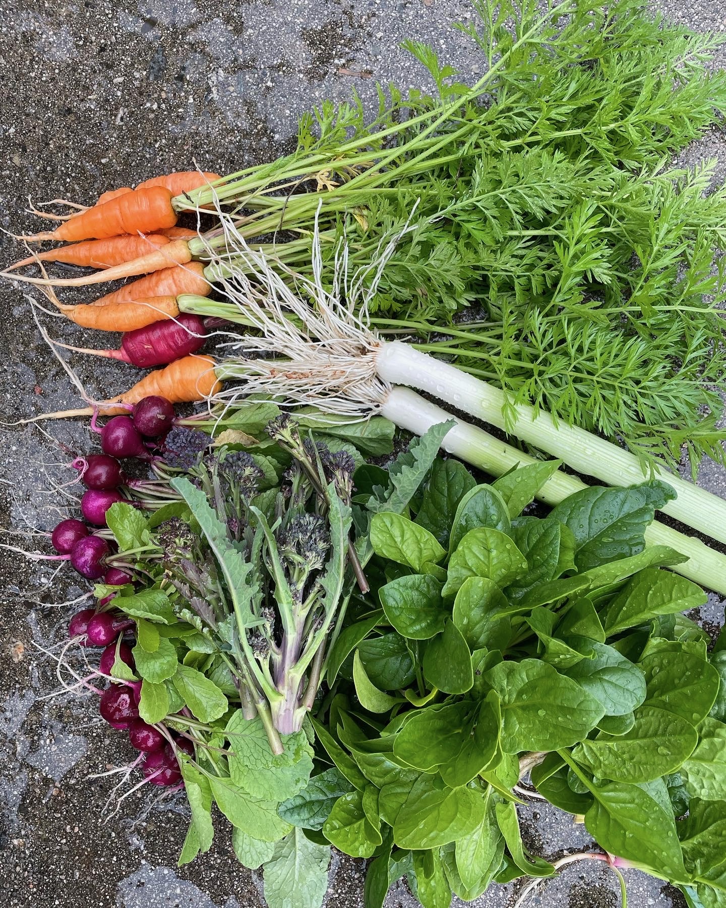 Flowers, Fruit and Vegetables